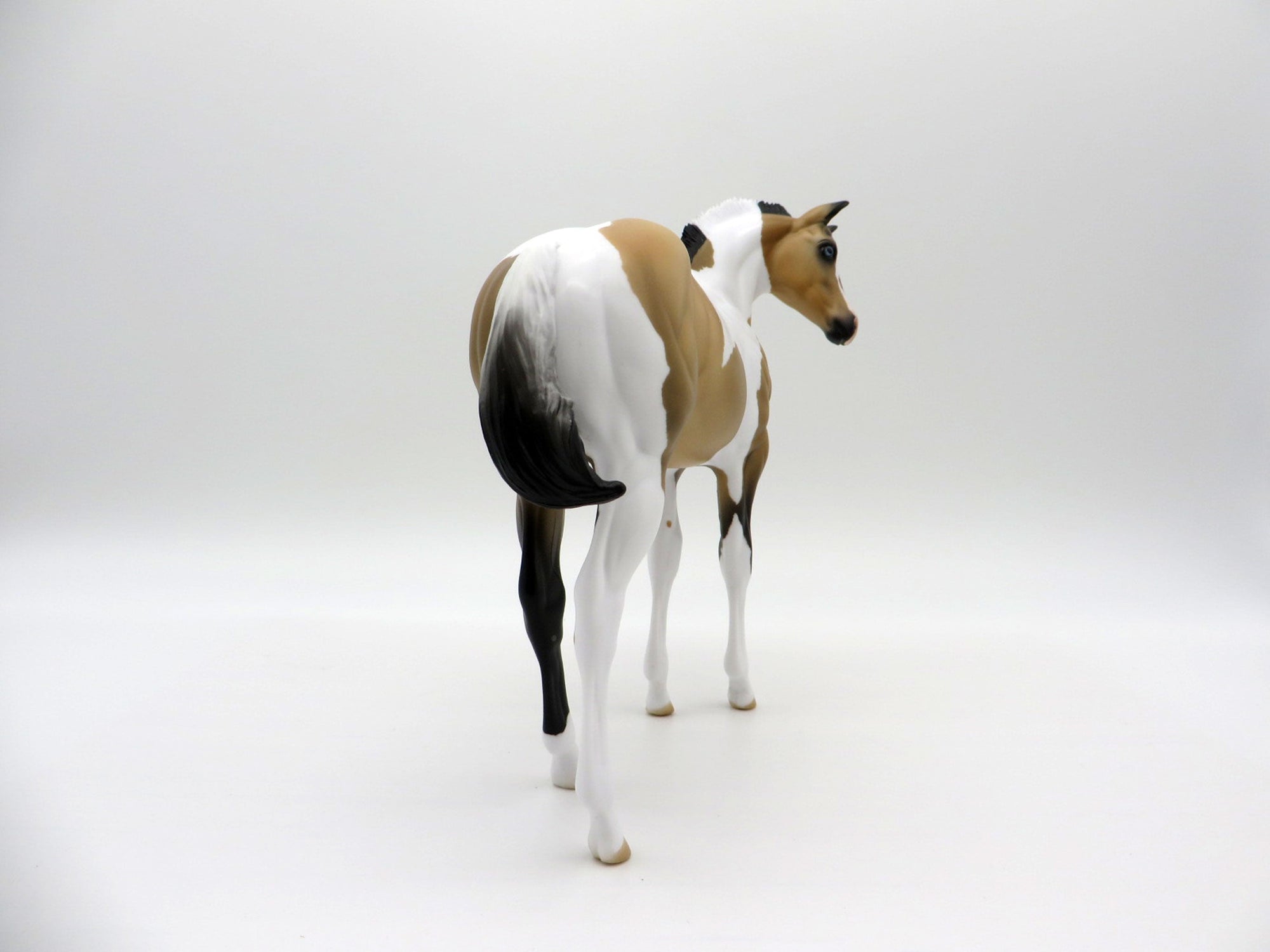 Drizzle-OOAK Buckskin Paint Weanling   SHCF 2021