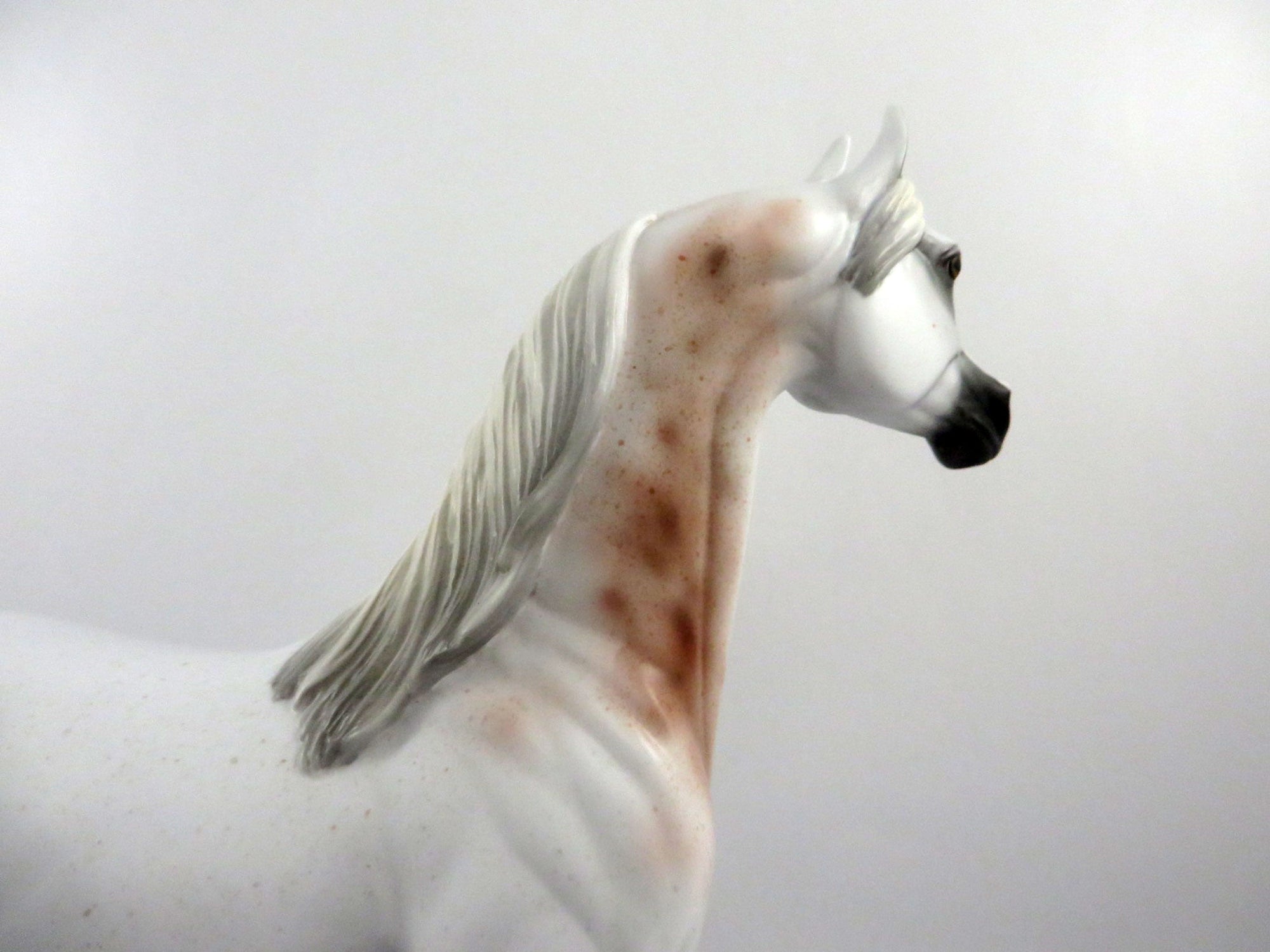 Druid-OOAK Bloody Shoulder Arabian 2/26/21