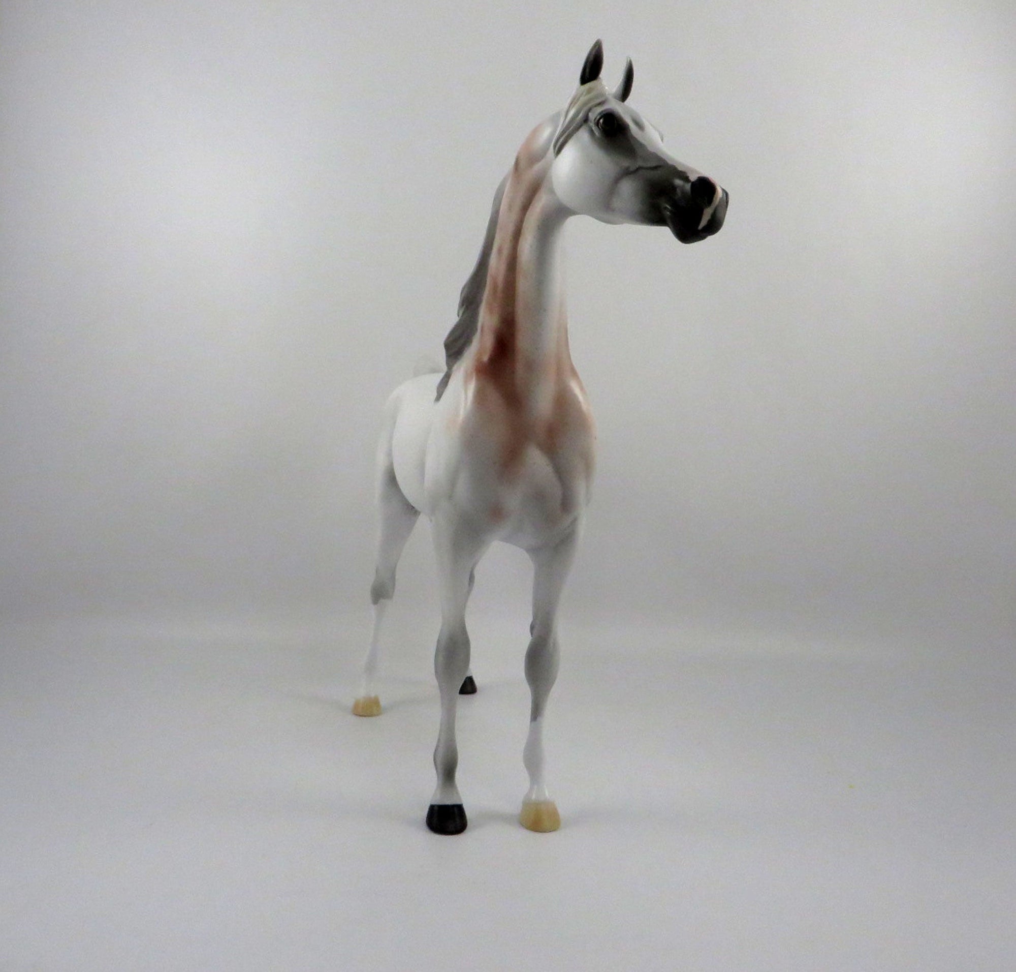Druid-OOAK Bloody Shoulder Arabian 2/26/21