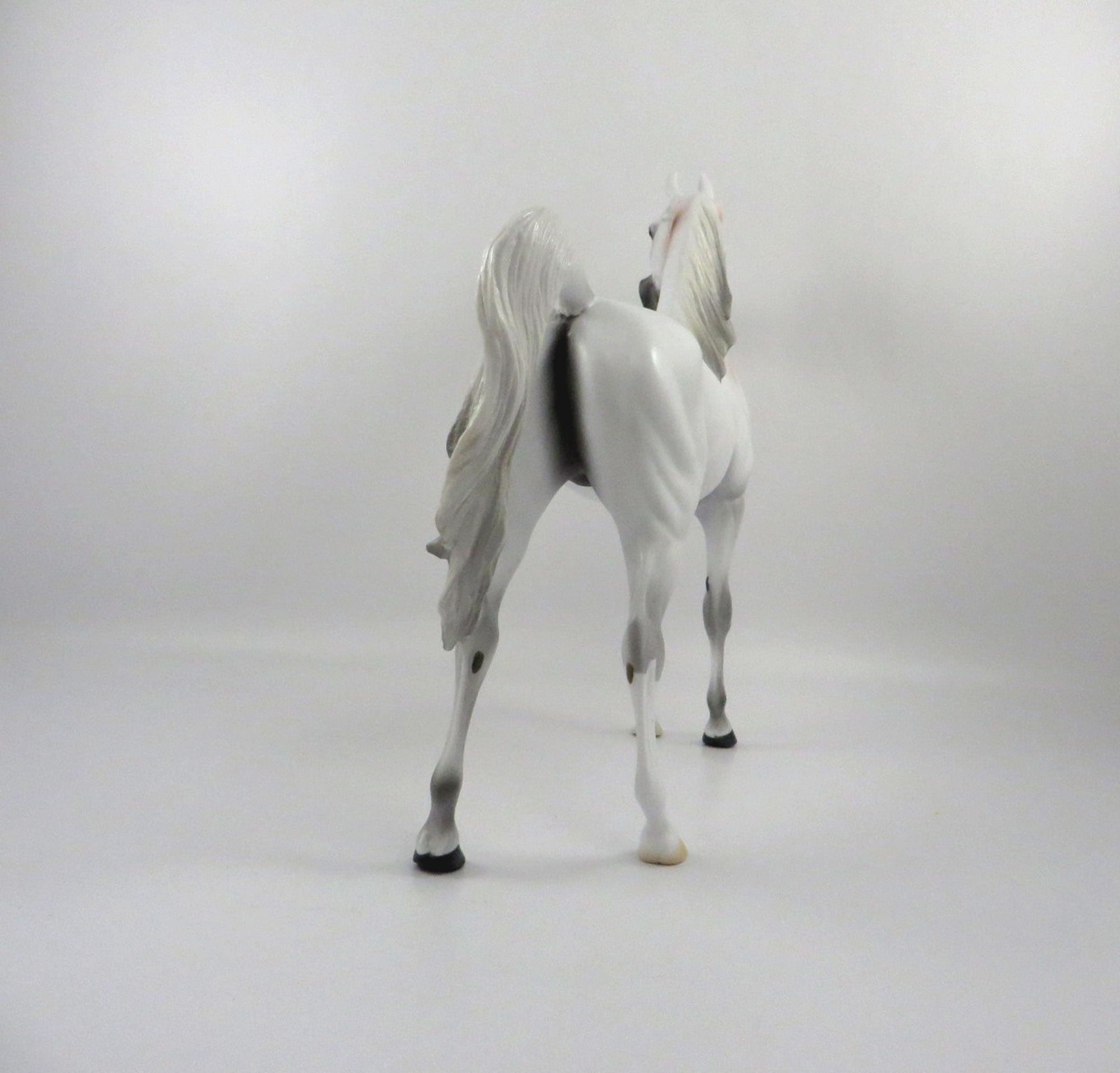 Druid-OOAK Bloody Shoulder Arabian 2/26/21