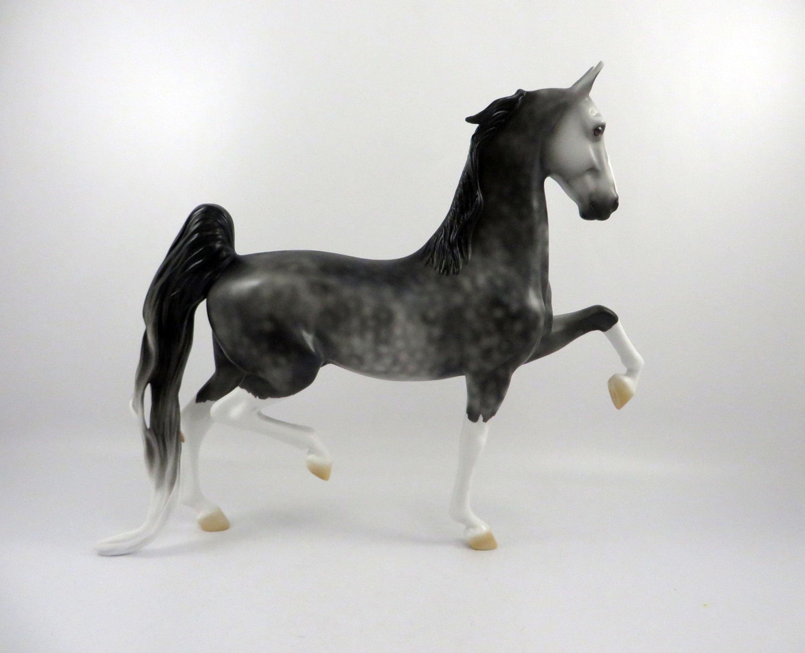 Dulaman-OOAK Dapple Grey Saddlebred 2/24/21