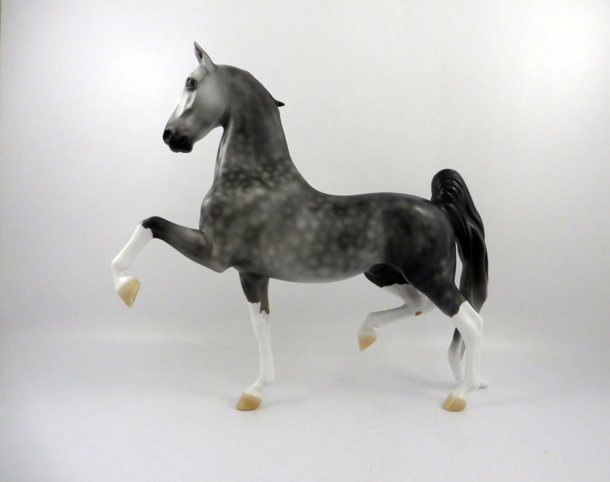 Dulaman-OOAK Dapple Grey Saddlebred 2/24/21