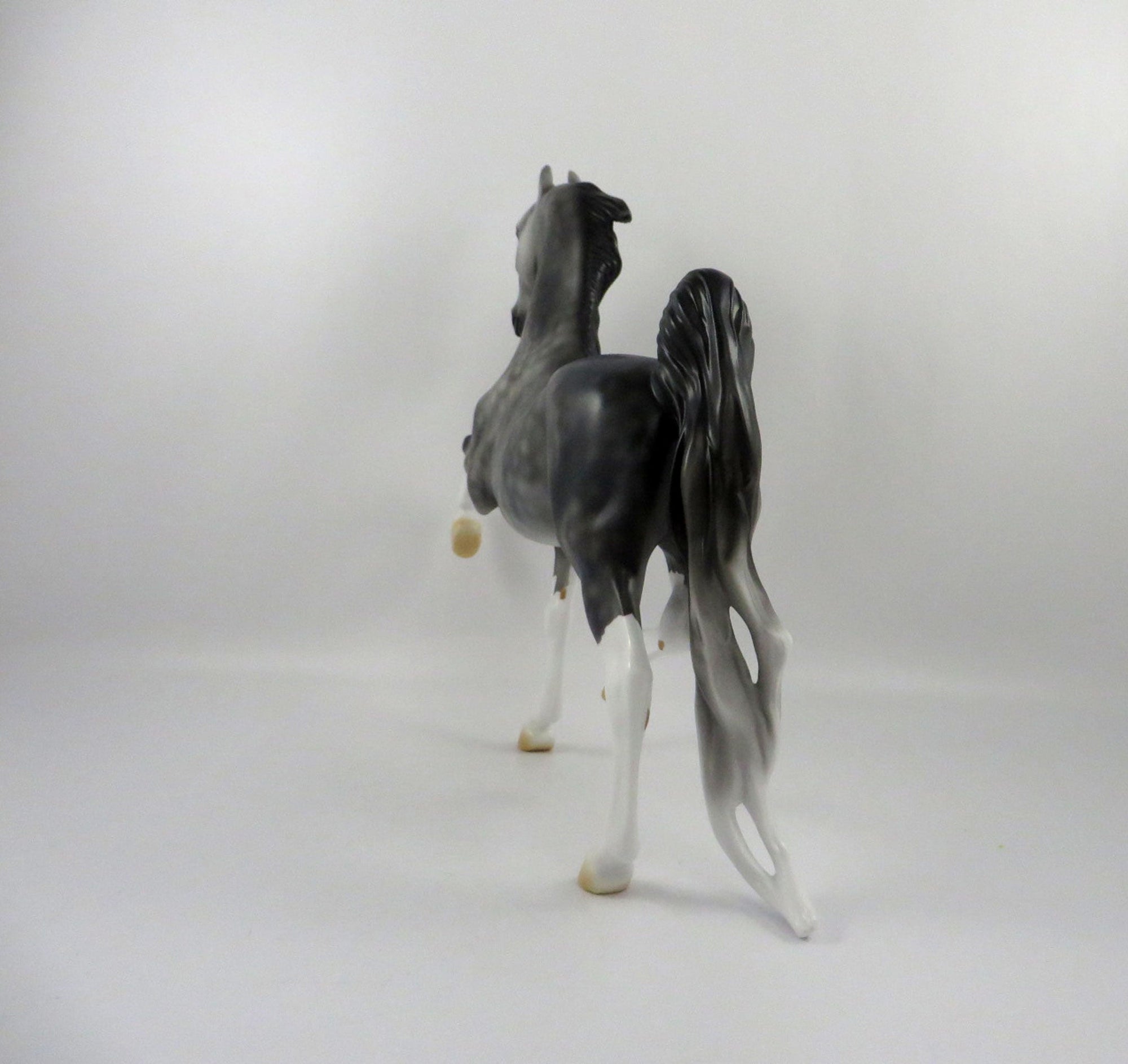 Dulaman-OOAK Dapple Grey Saddlebred 2/24/21