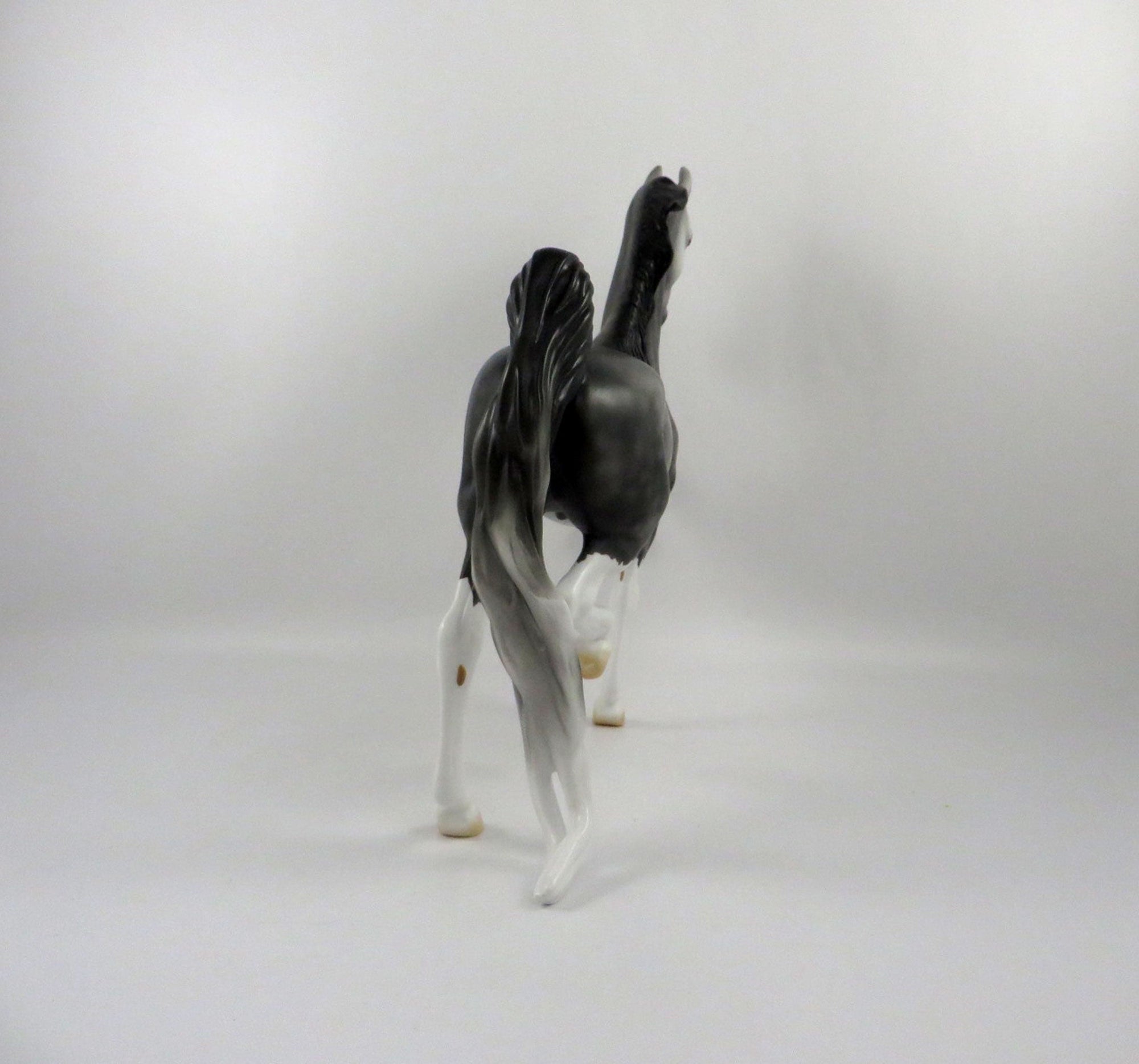 Dulaman-OOAK Dapple Grey Saddlebred 2/24/21