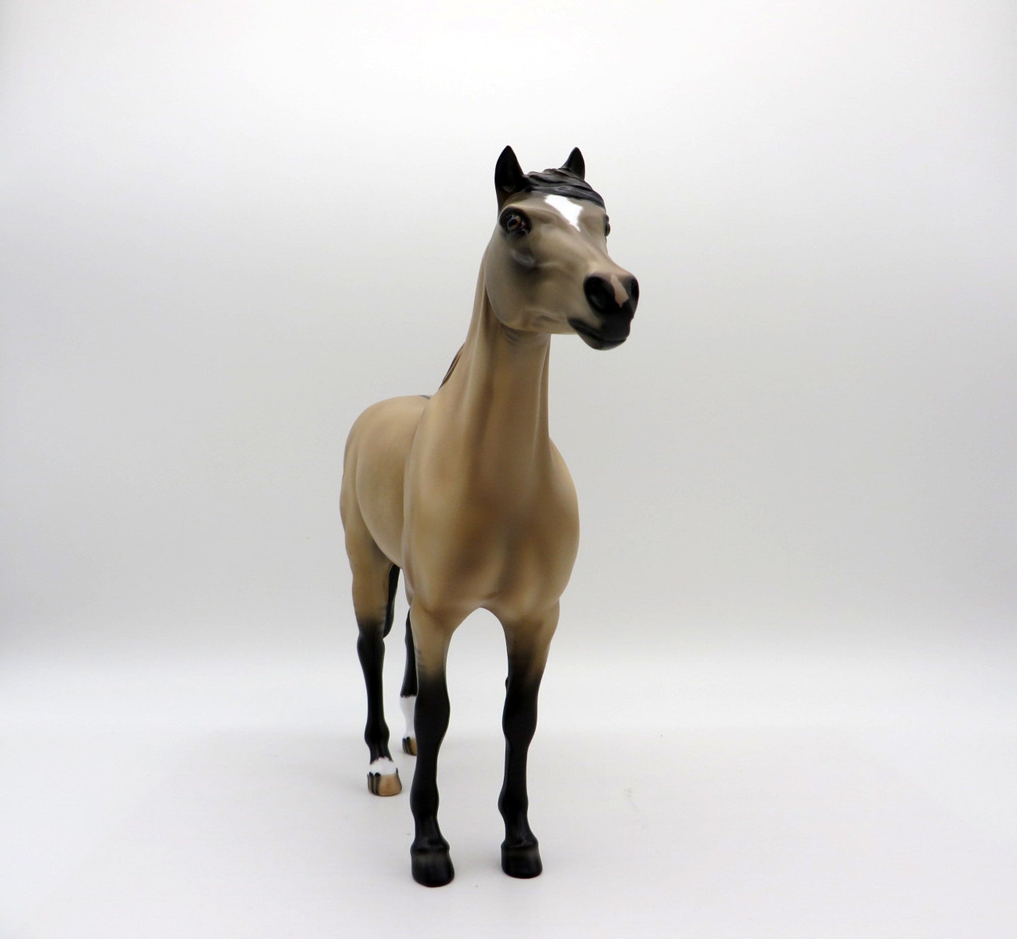 Dun Over It-OOAK Buckskin  Mustang Painted by Audrey Dixon EQ 2021