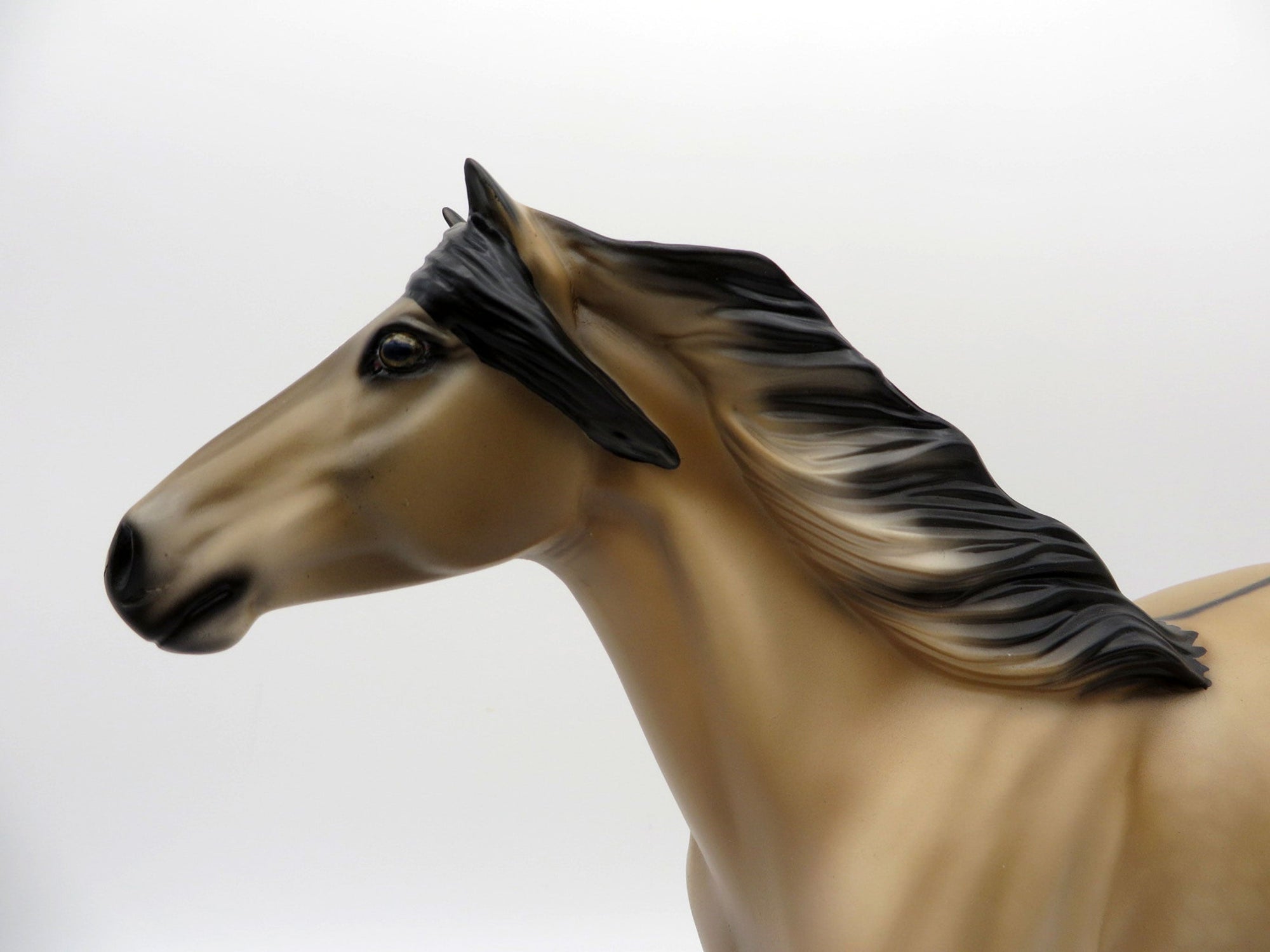 Dun Over It-OOAK Buckskin  Mustang Painted by Audrey Dixon EQ 2021