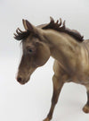 Dun Chasing Dreams - OOAK - Custom Champaigne Dun Remington By Julie Keim - Best Offers 2/12/23 P&amp;C 23