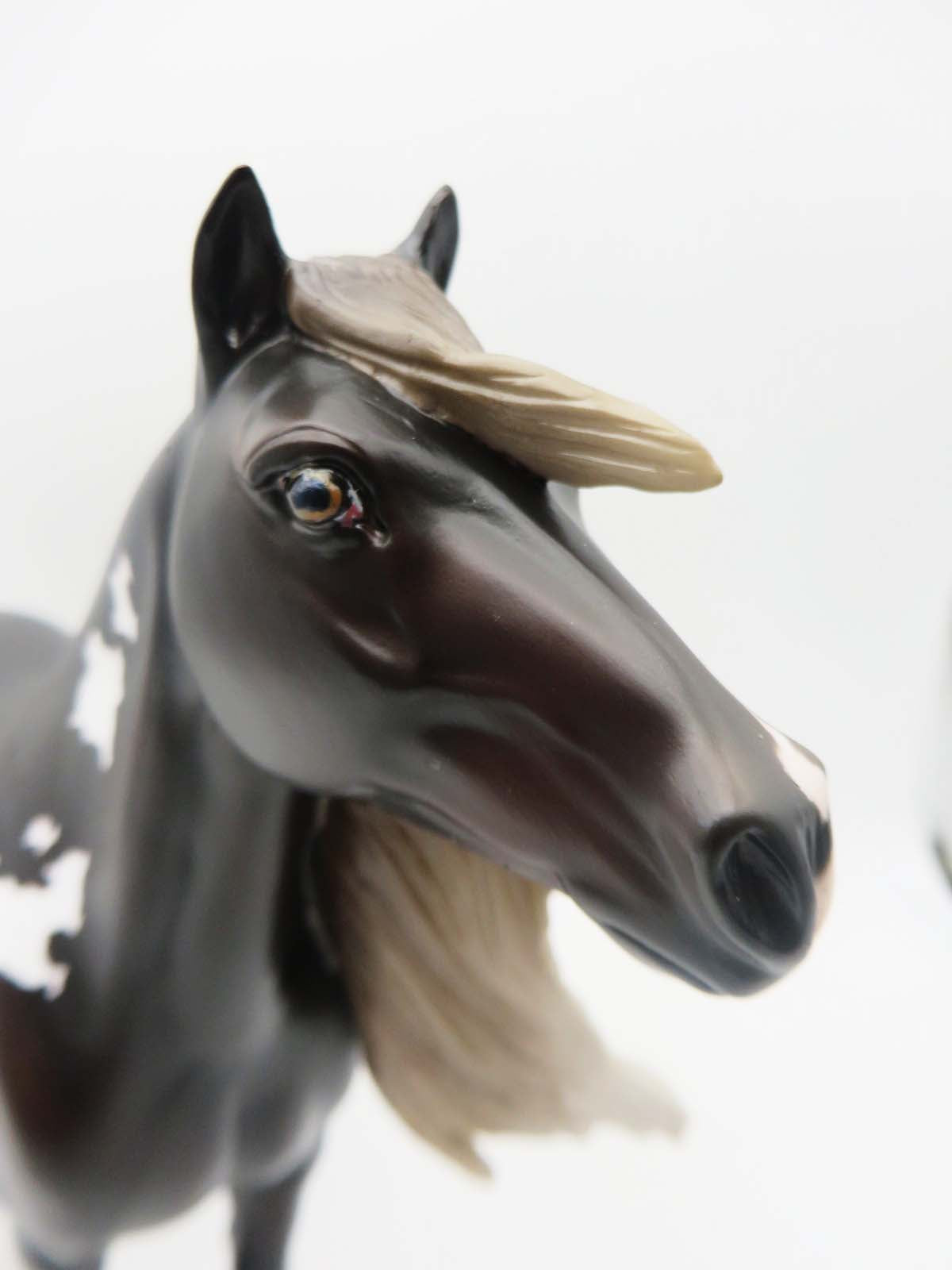 Dust Bowl - OOAK - Liver Chestnut Overo Mustang Painted By Jess- SHCF23