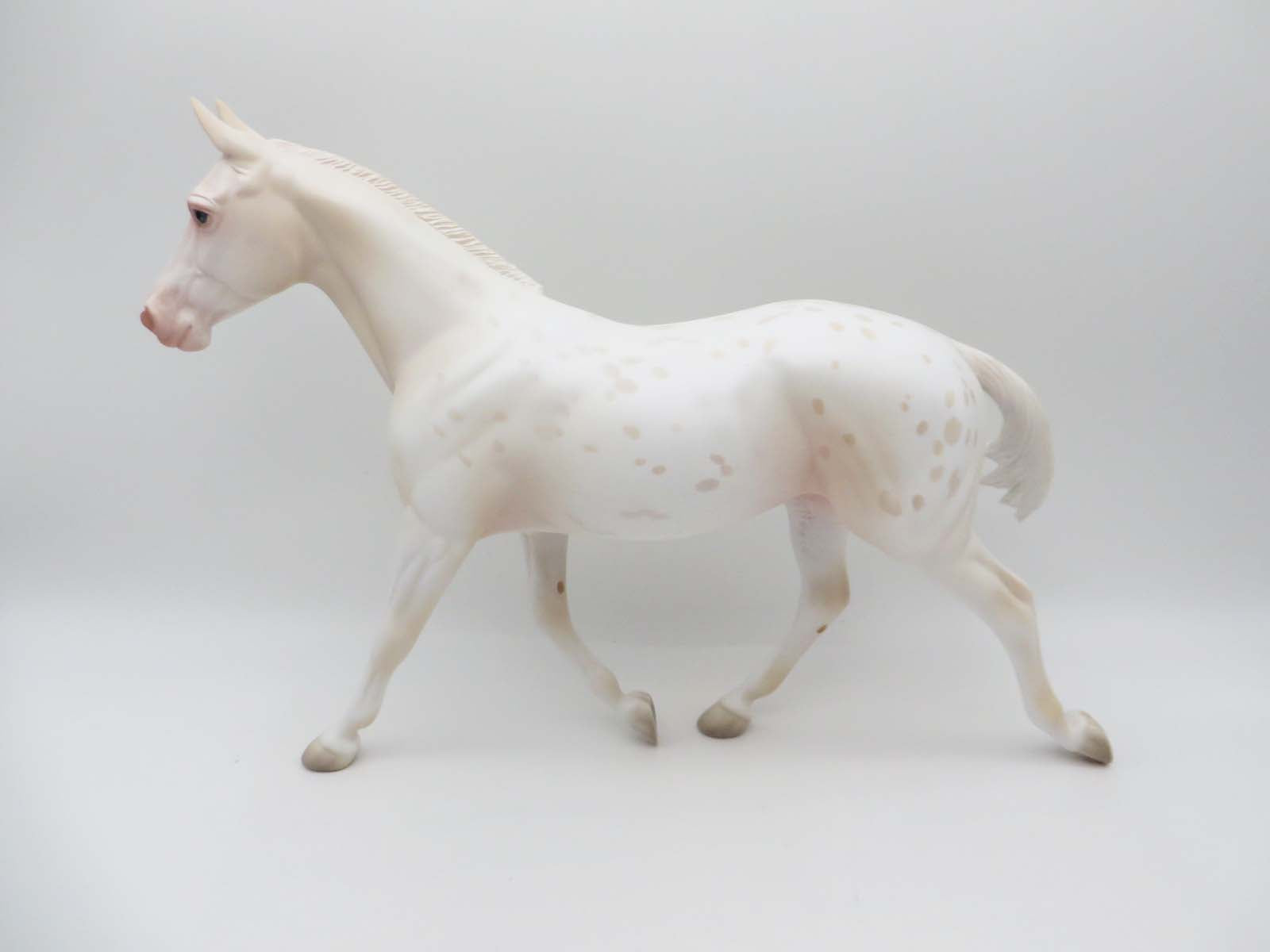 Dutchess - OOAK - Cremello Appy Palouse Inspired By Cream Parti Poodle By Jess Hamill - P&C 23