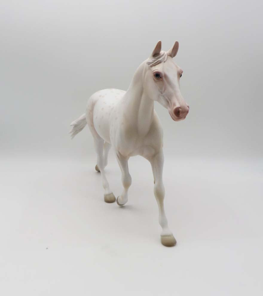 Dutchess - OOAK - Cremello Appy Palouse Inspired By Cream Parti Poodle By Jess Hamill - P&amp;C 23