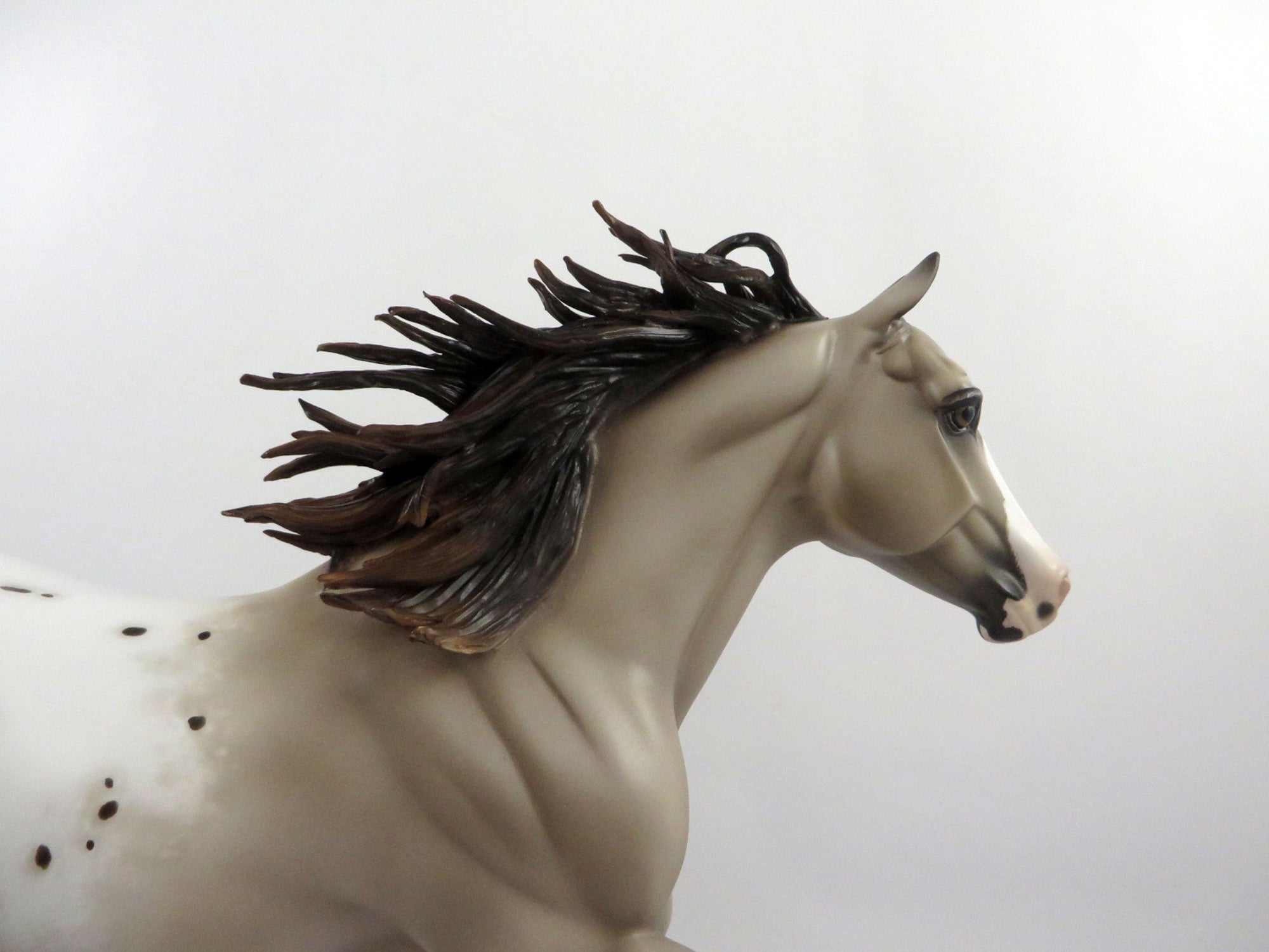 Dynaguy-OOAK Chestnut Appaloosa Foundation Quarter Horse Painted By Sheryl Leisure  2/25/21