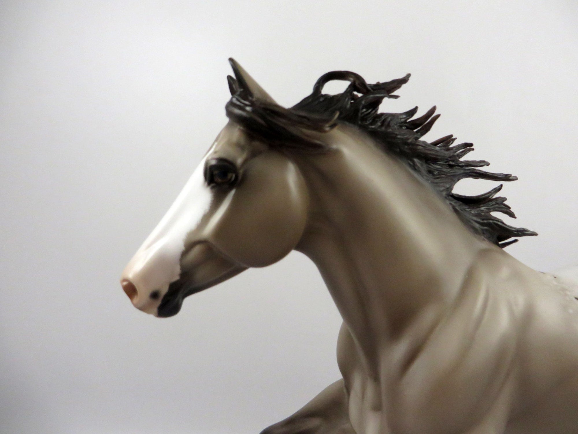 Dynaguy-OOAK Chestnut Appaloosa Foundation Quarter Horse Painted By Sheryl Leisure  2/25/21