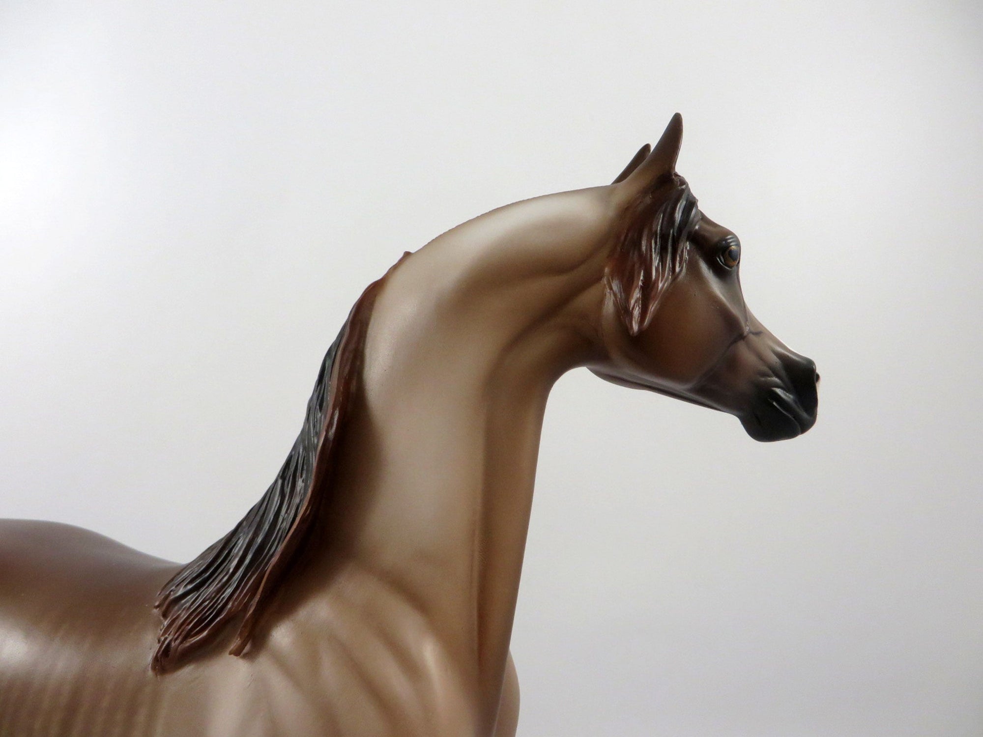 Dynamo-OOAK Rabicano Arabian Painted By Sheryl Leisure