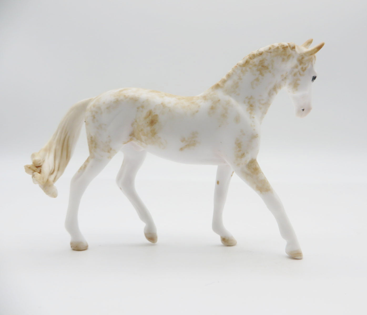 EVERGLADE - OOAK Sabino Palomino Warmblood Chip LHS 22