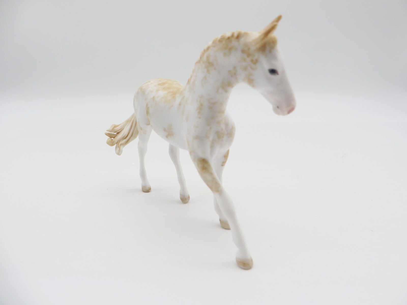 EVERGLADE - OOAK Sabino Palomino Warmblood Chip LHS 22