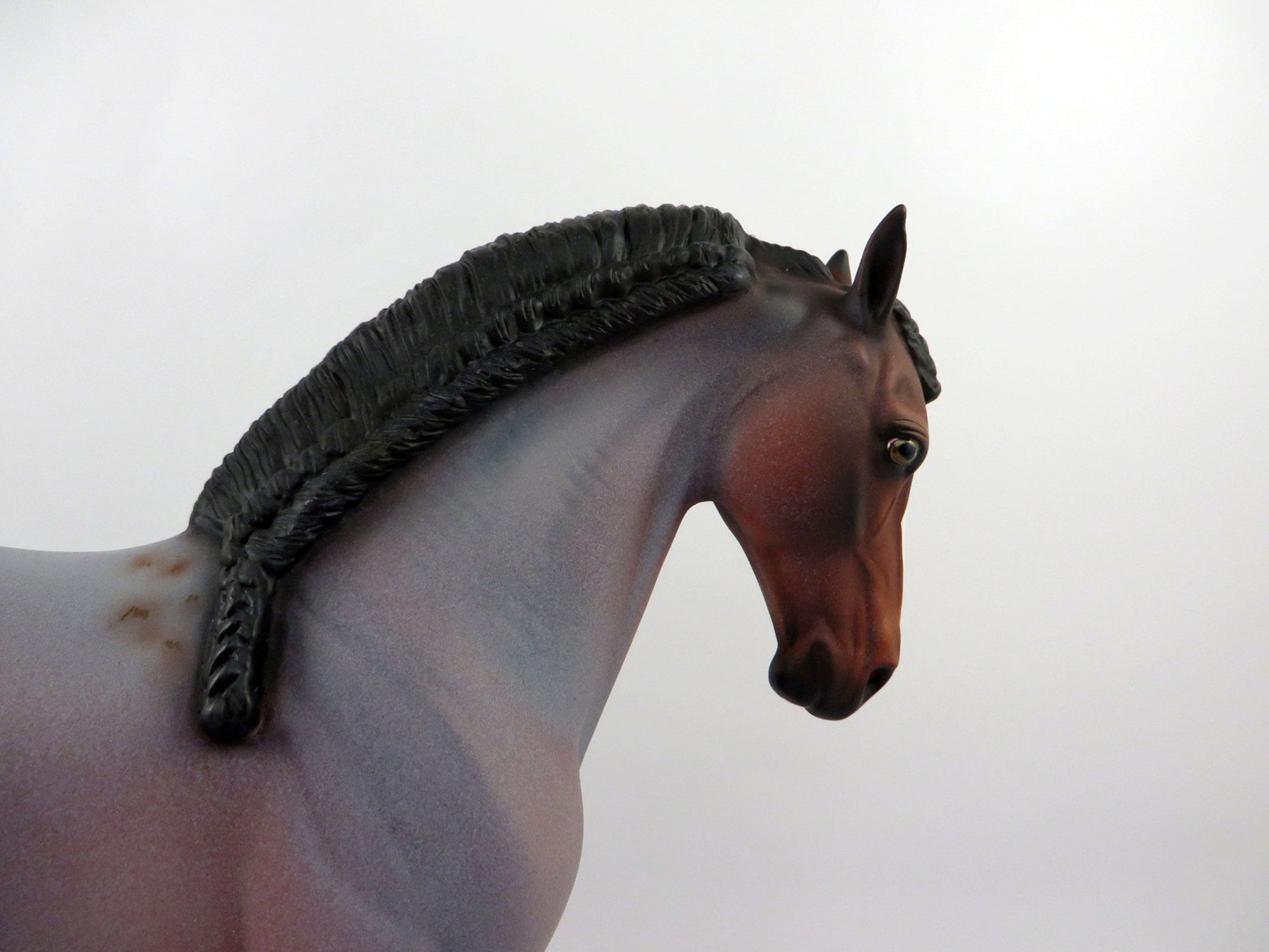 Eamon-OOAK Bay Roan Andalusian Painted By Dawn Quick 4/13/21