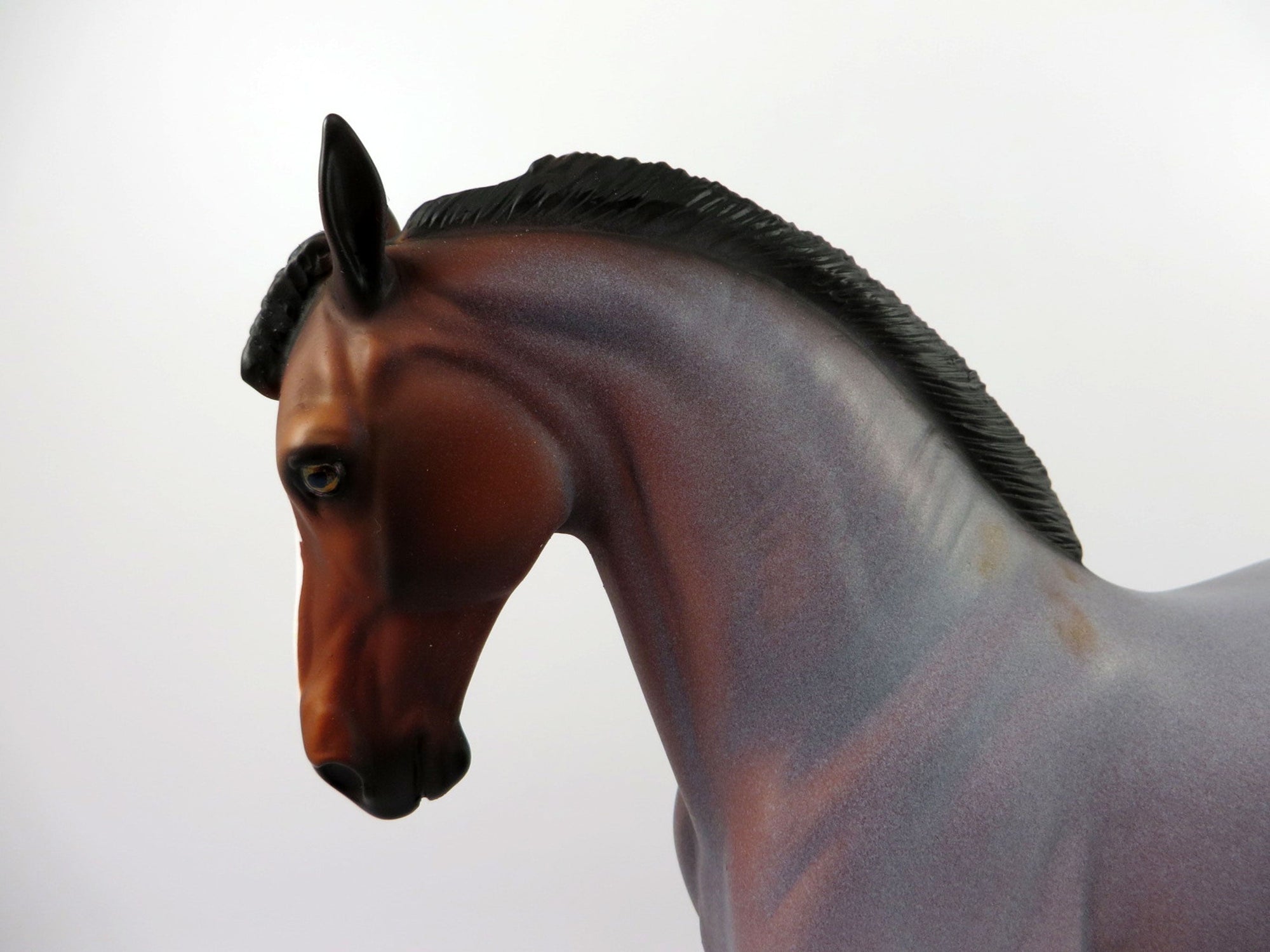 Eamon-OOAK Bay Roan Andalusian Painted By Dawn Quick 4/13/21