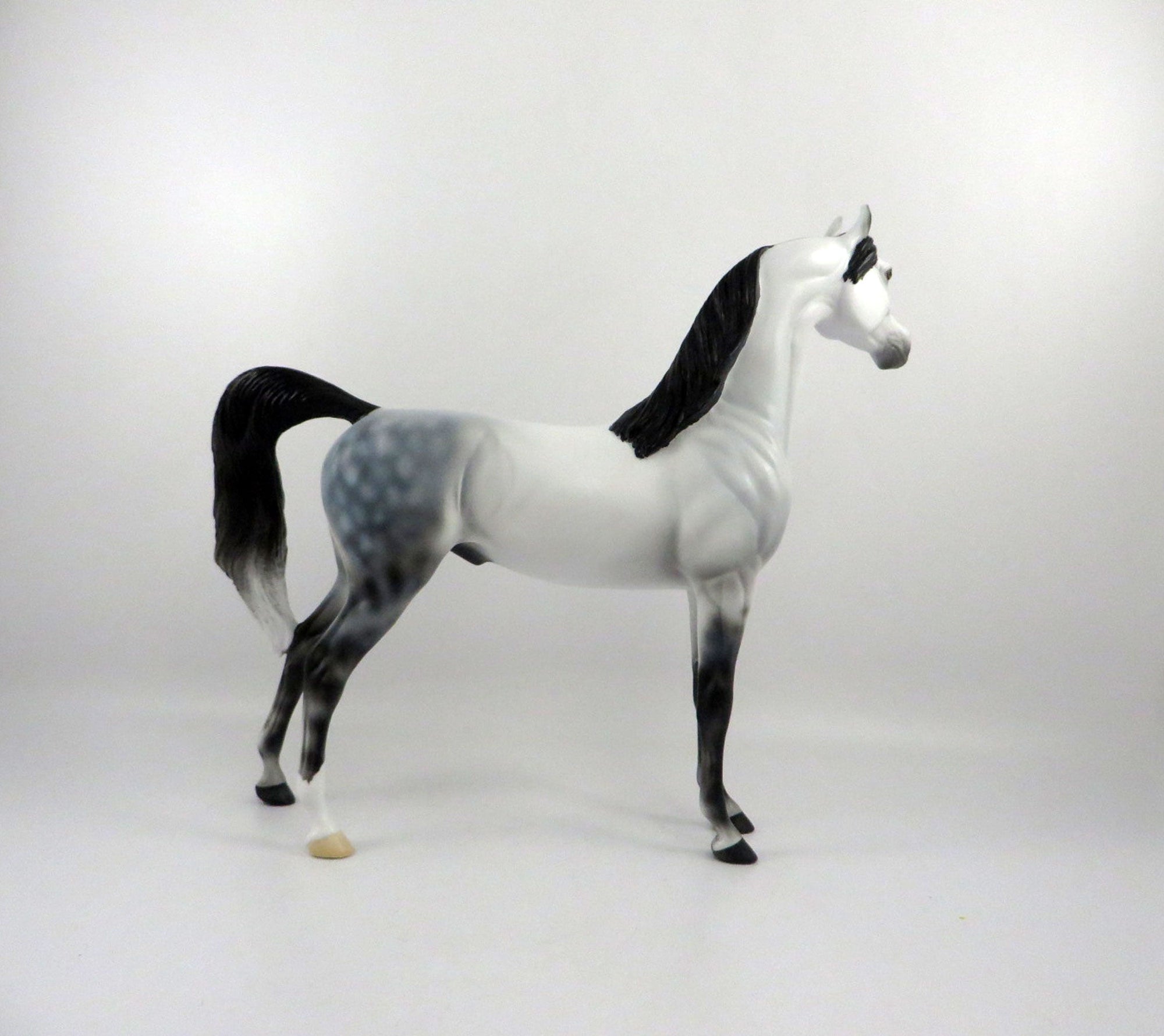 Ebbtide-OOAK Light Dapple Grey Arabian 2/26/21