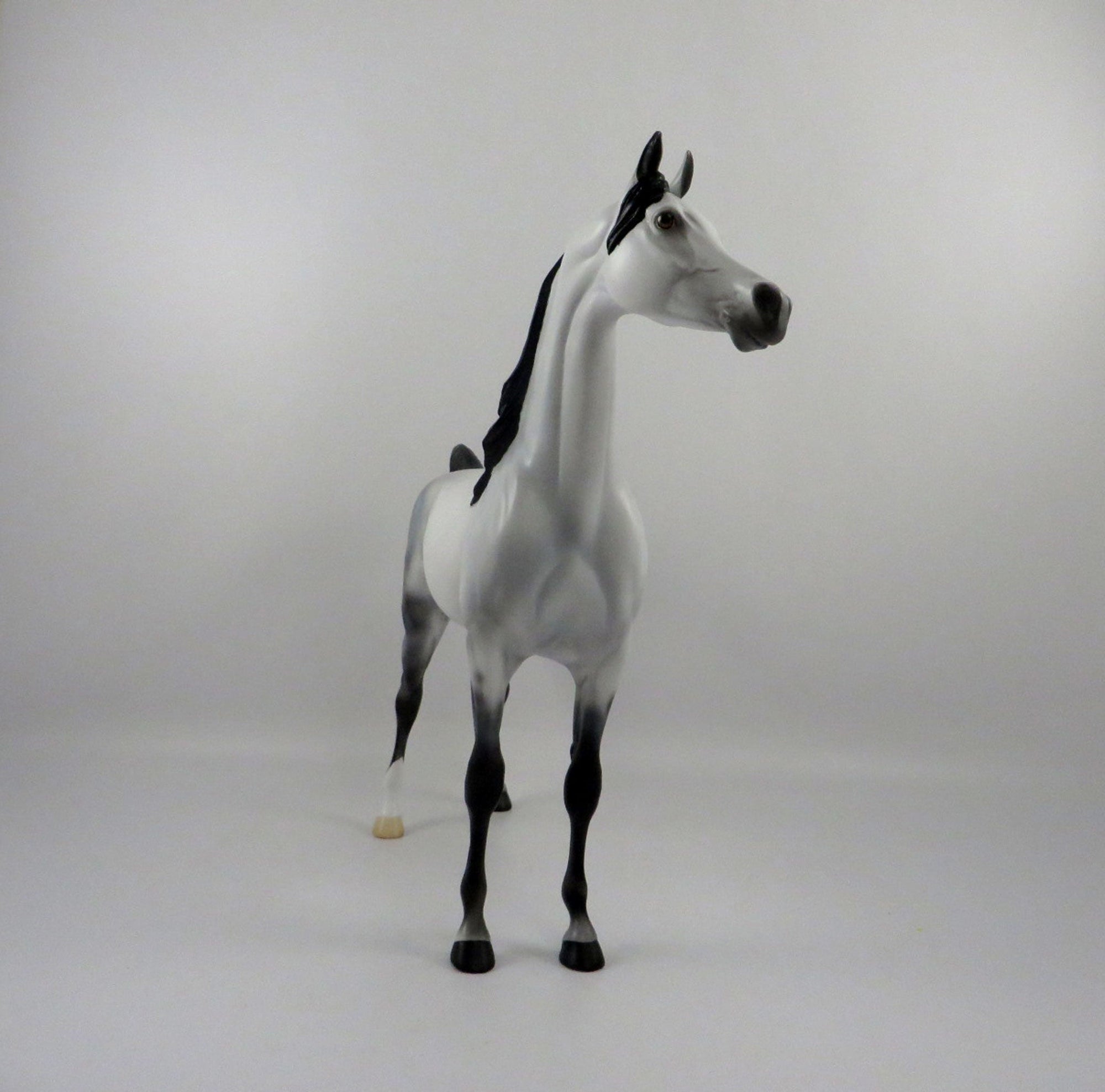 Ebbtide-OOAK Light Dapple Grey Arabian 2/26/21
