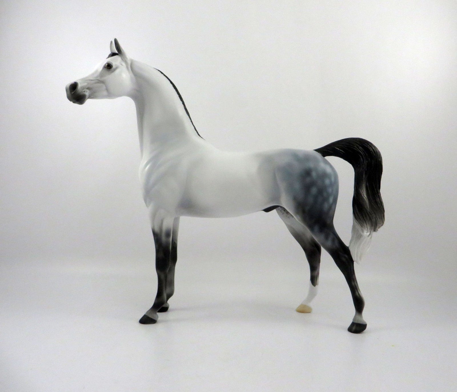 Ebbtide-OOAK Light Dapple Grey Arabian 2/26/21