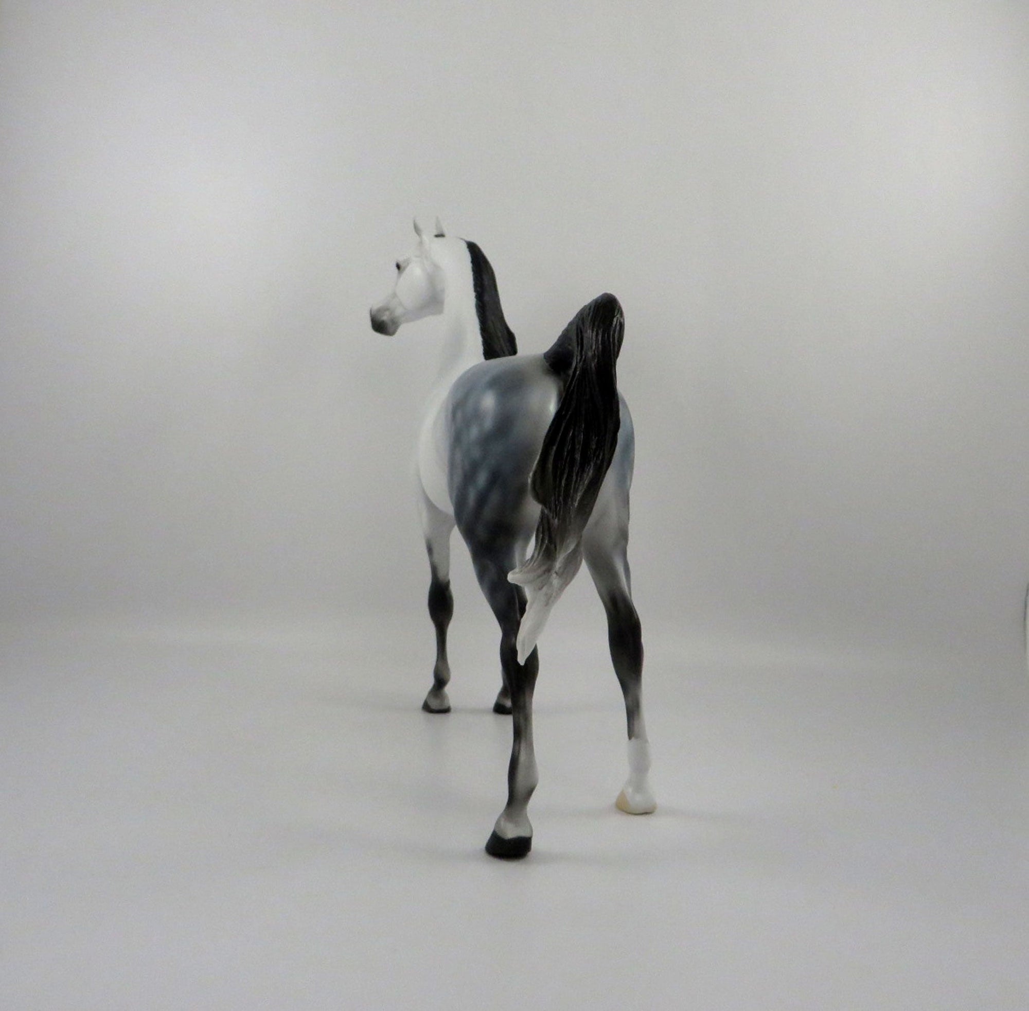 Ebbtide-OOAK Light Dapple Grey Arabian 2/26/21