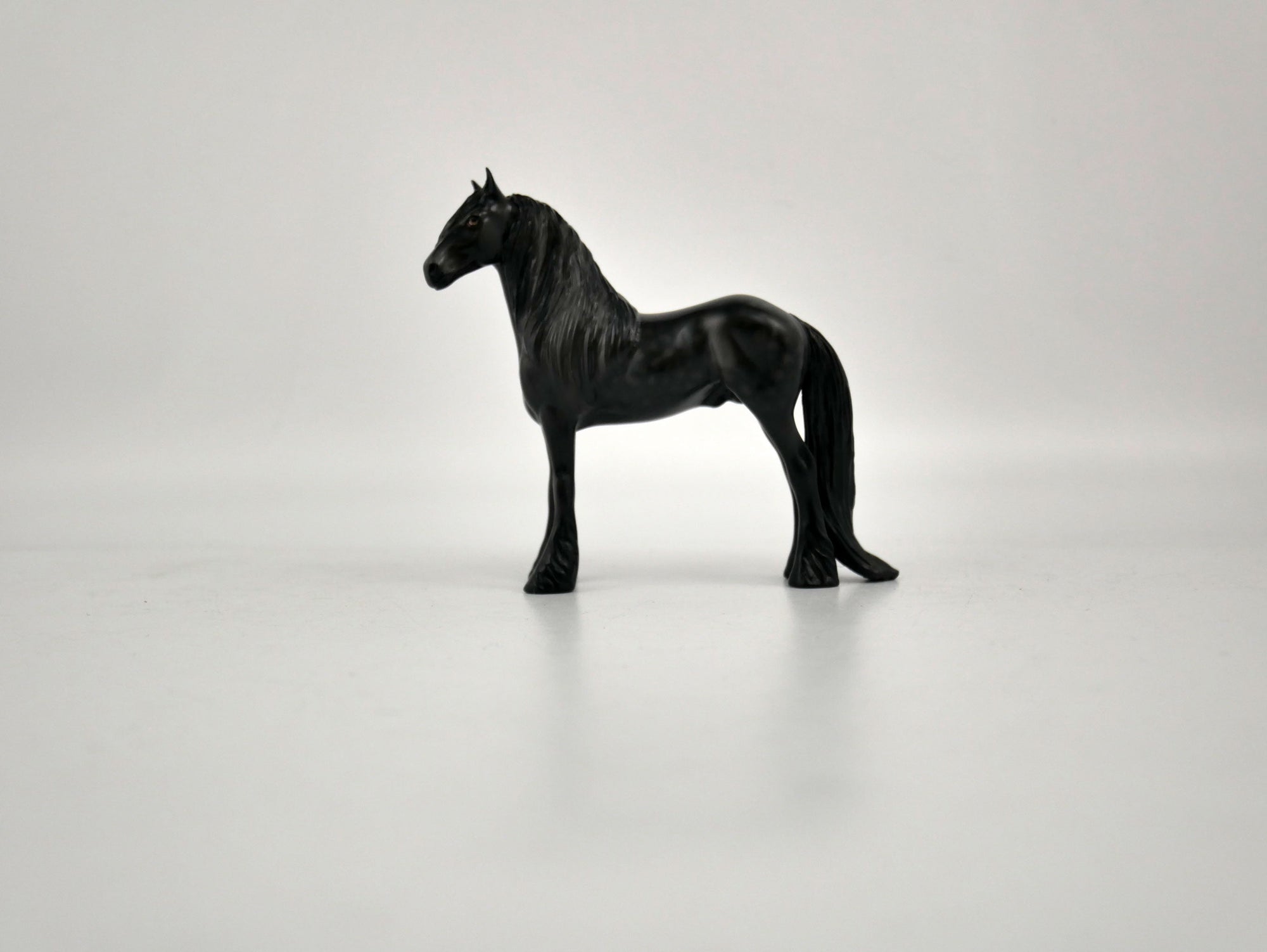 What is inside the Box> Ebony 12/20