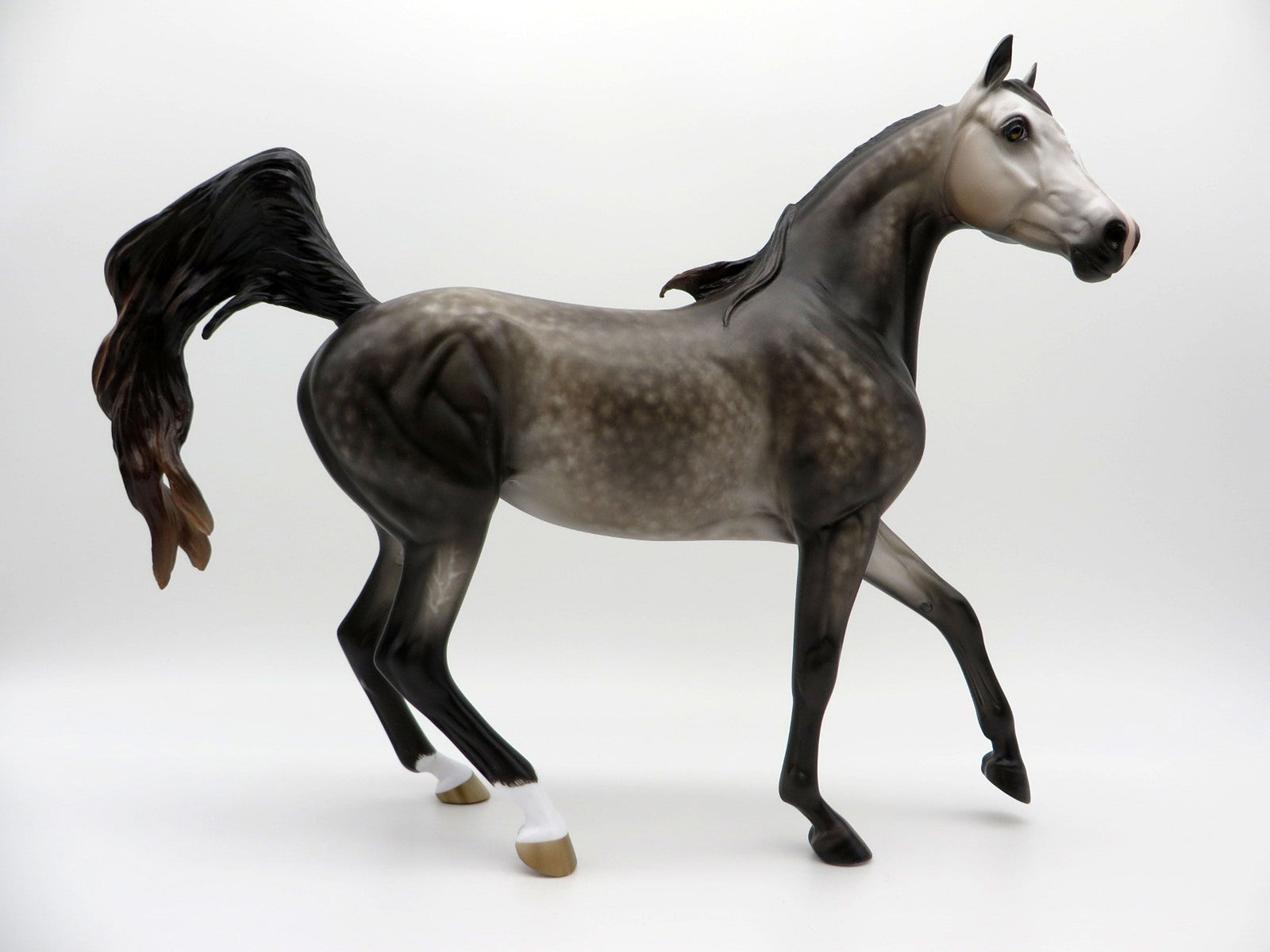 Echo-OOAK Dapple Grey Arabian Mare 3/29/21