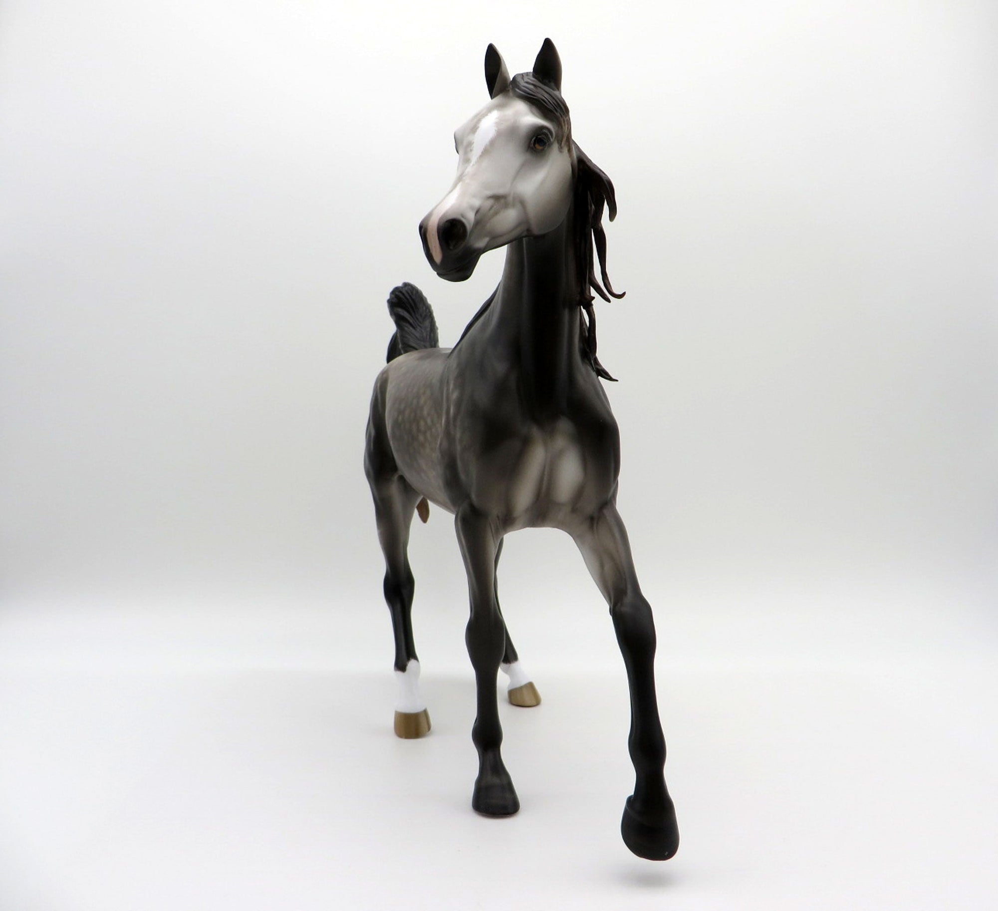 Echo-OOAK Dapple Grey Arabian Mare 3/29/21