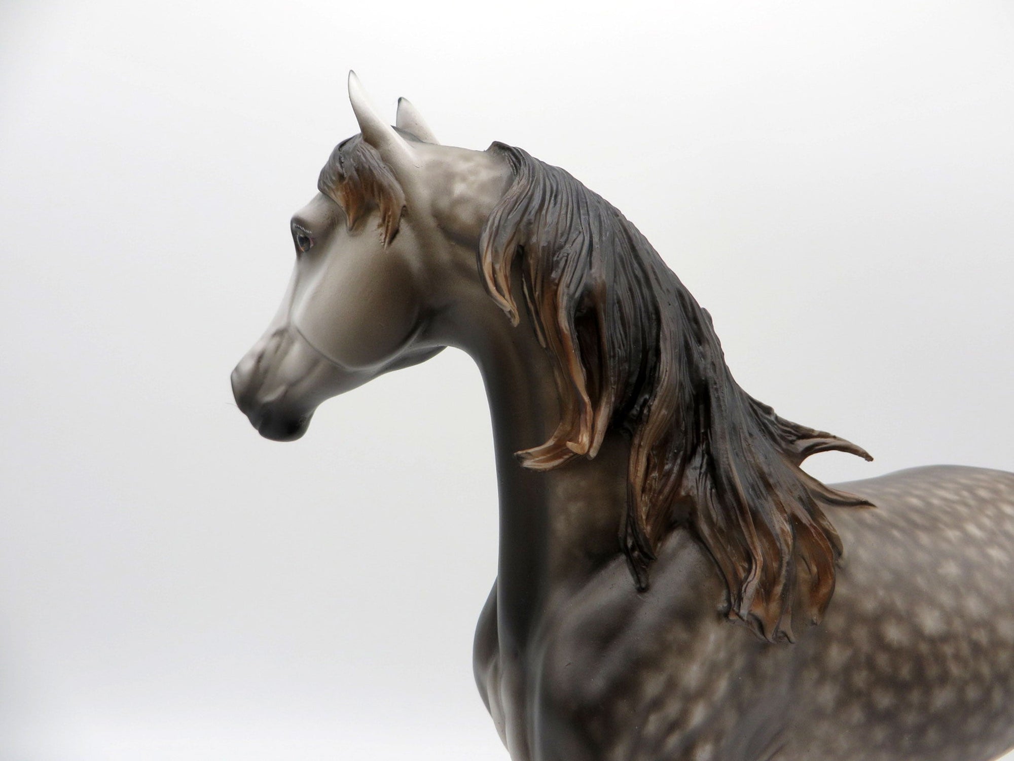 Echo-OOAK Dapple Grey Arabian Mare 3/29/21