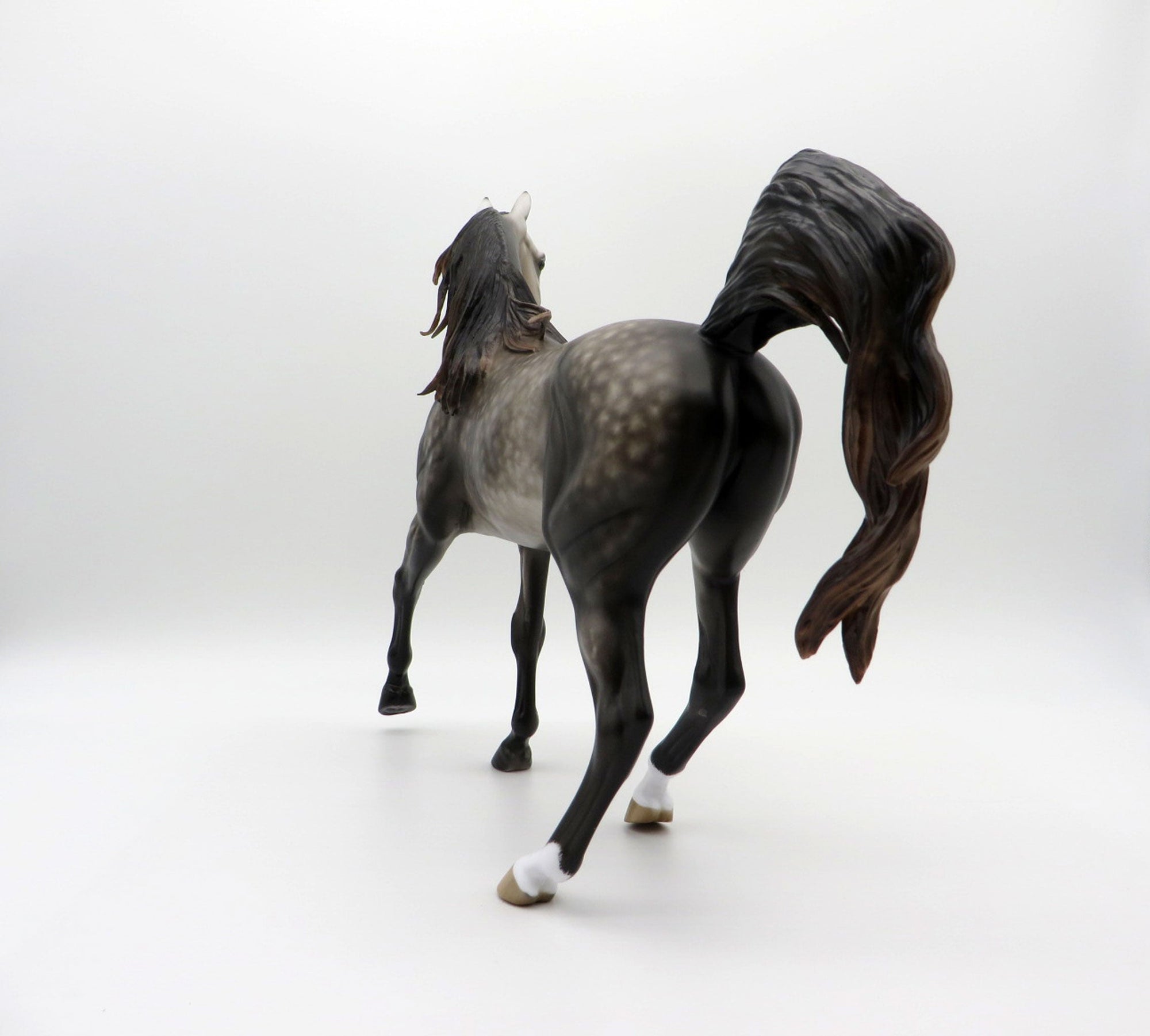 Echo-OOAK Dapple Grey Arabian Mare 3/29/21