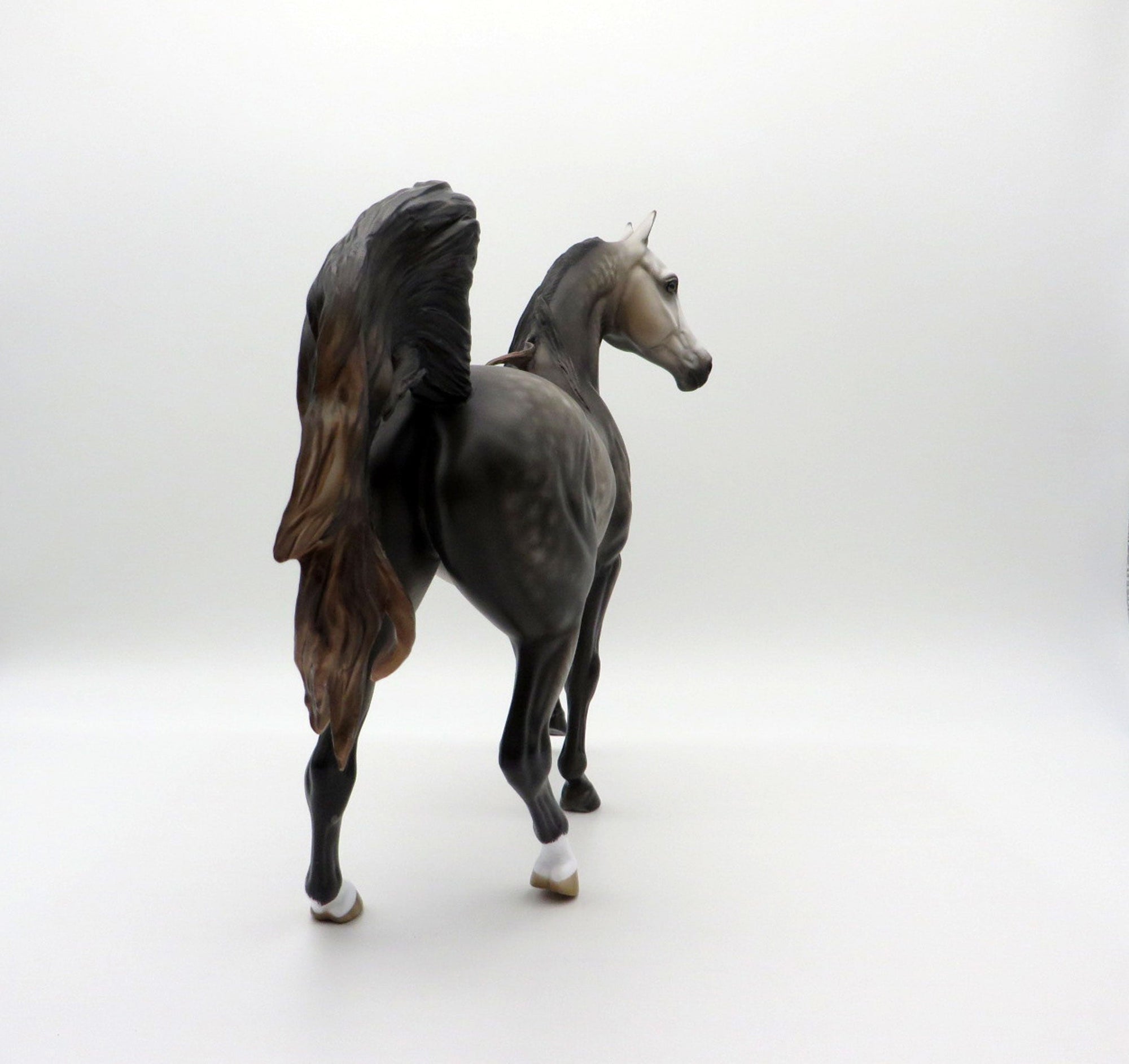 Echo-OOAK Dapple Grey Arabian Mare 3/29/21