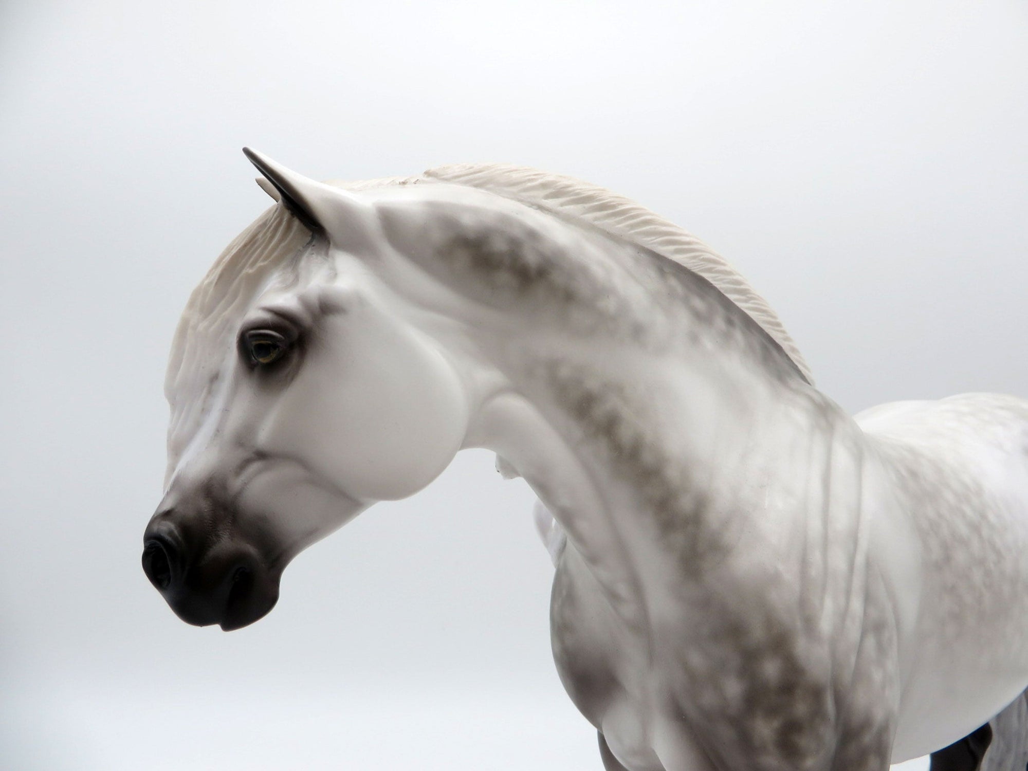 Eclipse of the Heart-OOAK Dapple Grey Heavy Draft Mare Painted by Sheryl Leisure 7/26/21