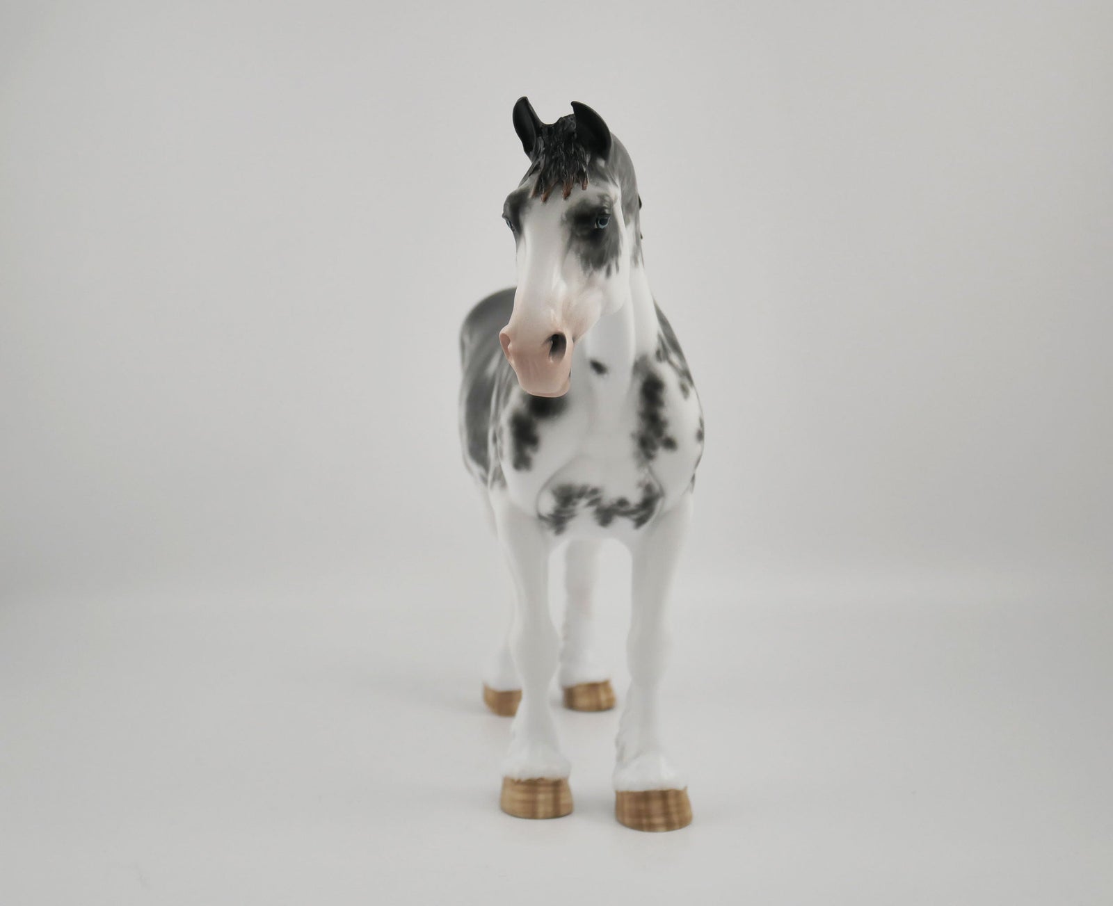 EHAWEE -OOAK BLACK SABINO BUNNY BY SHERYL LEISURE 10/27/20