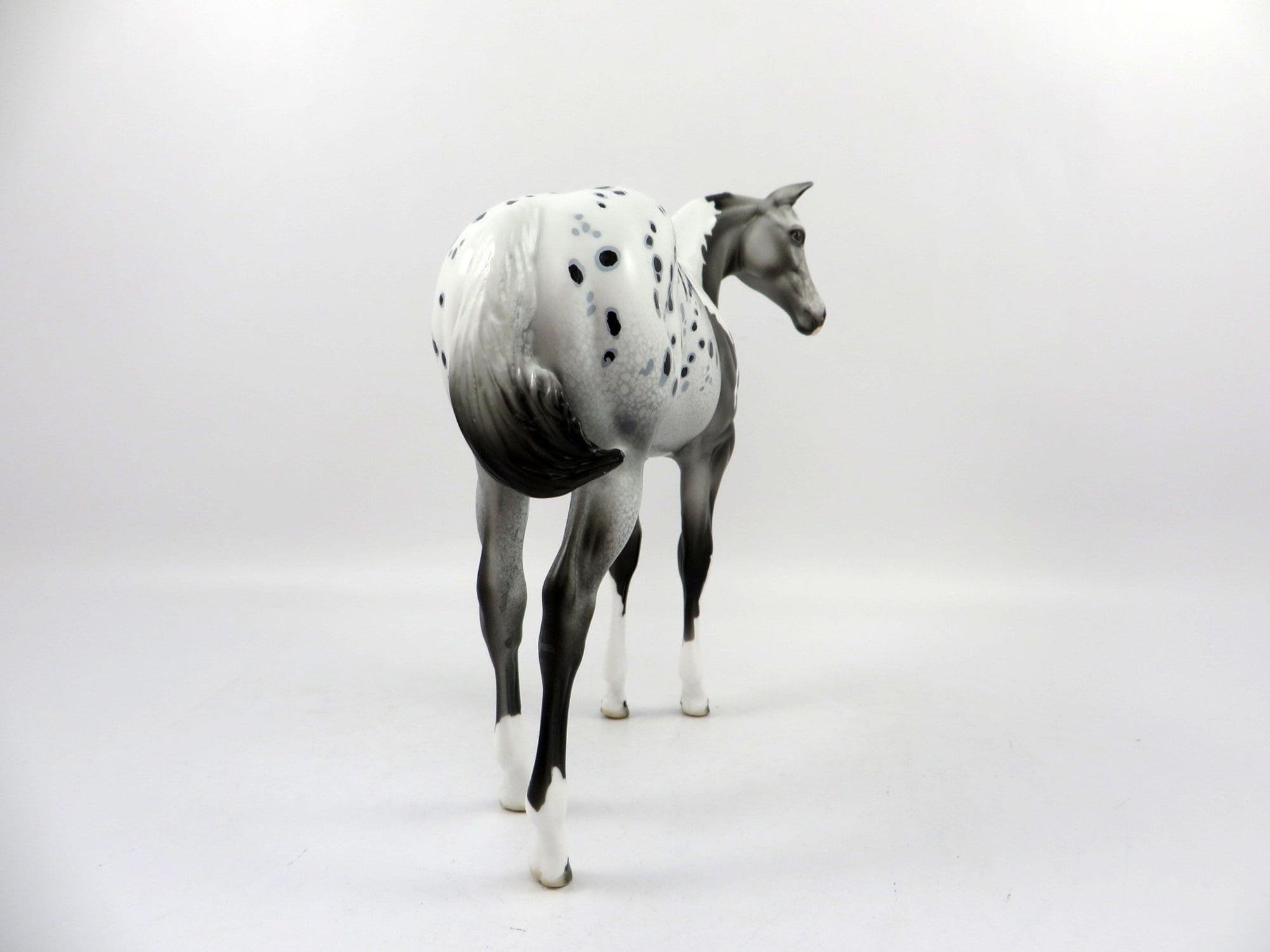 Erie-OOAK Appaloosa Weanling Painted by Dawn Quick 3/5/21