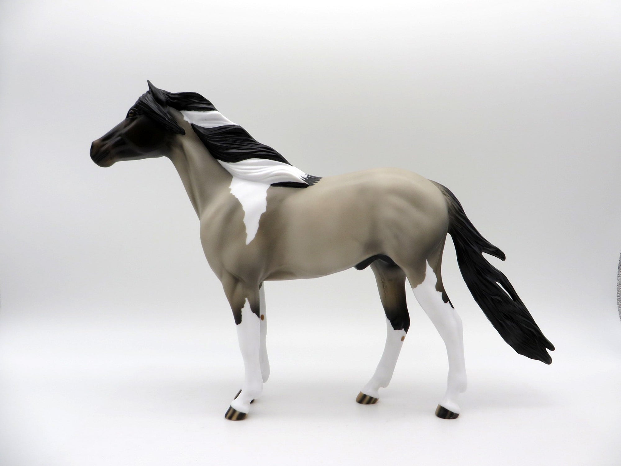 El Nino-OOAK Grulla Pinto Spanish Mustang SHCF 2021