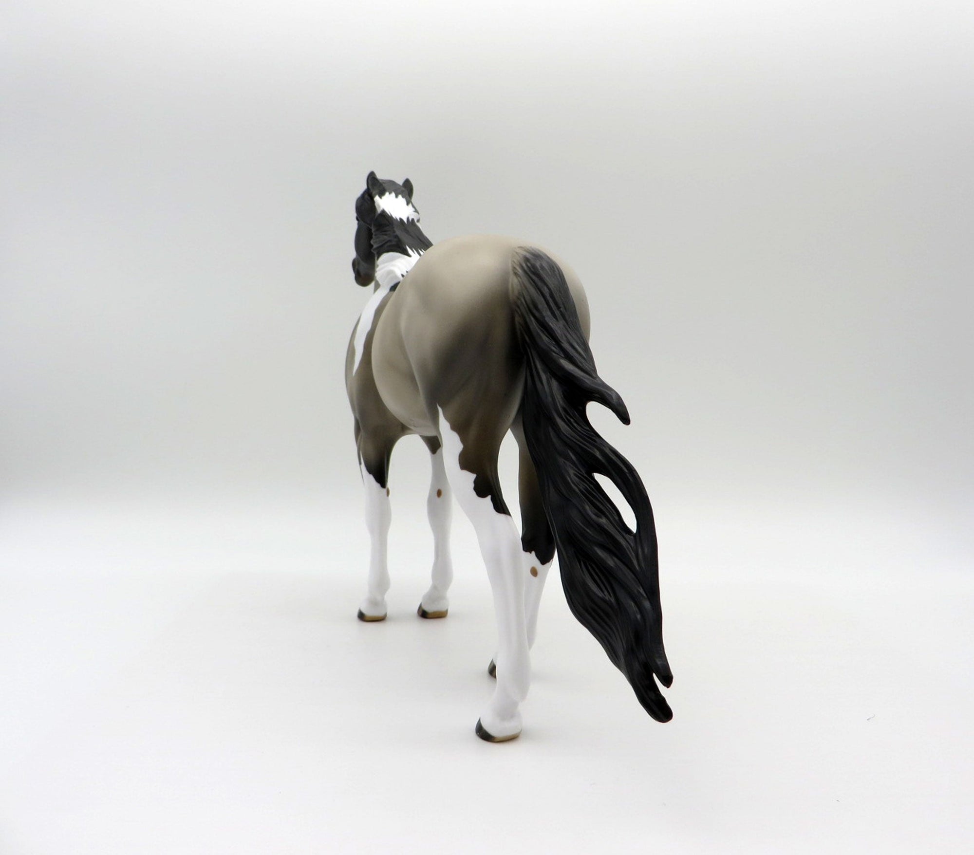 El Nino-OOAK Grulla Pinto Spanish Mustang SHCF 2021