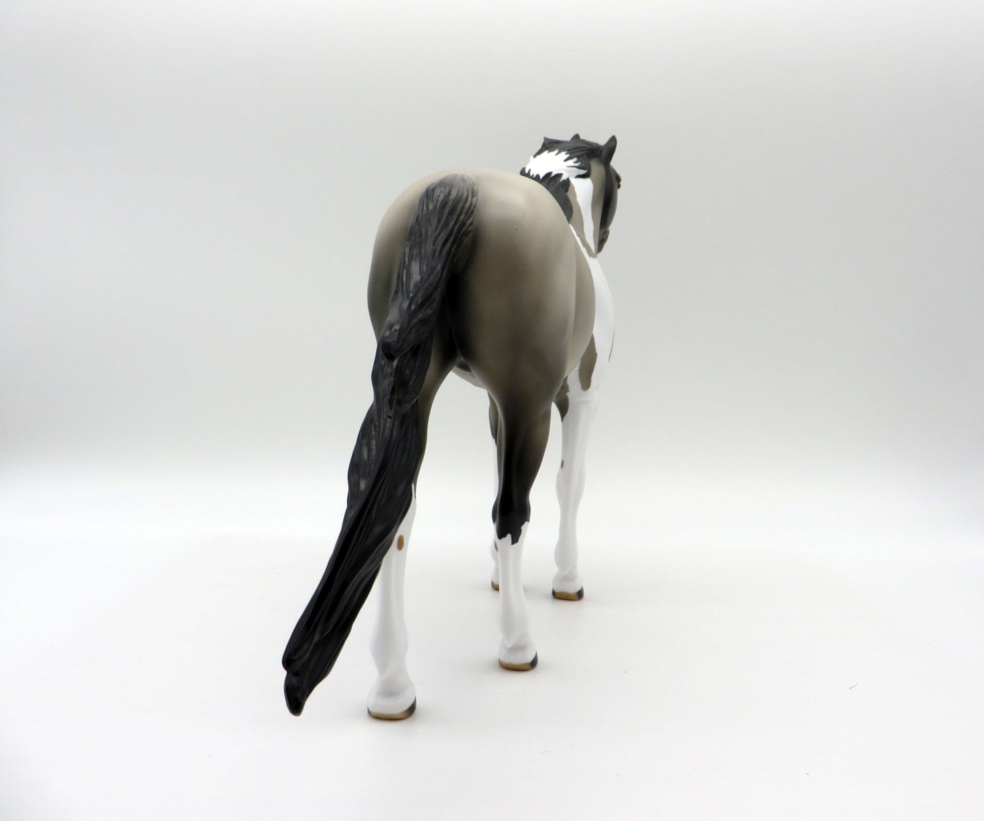 El Nino-OOAK Grulla Pinto Spanish Mustang SHCF 2021