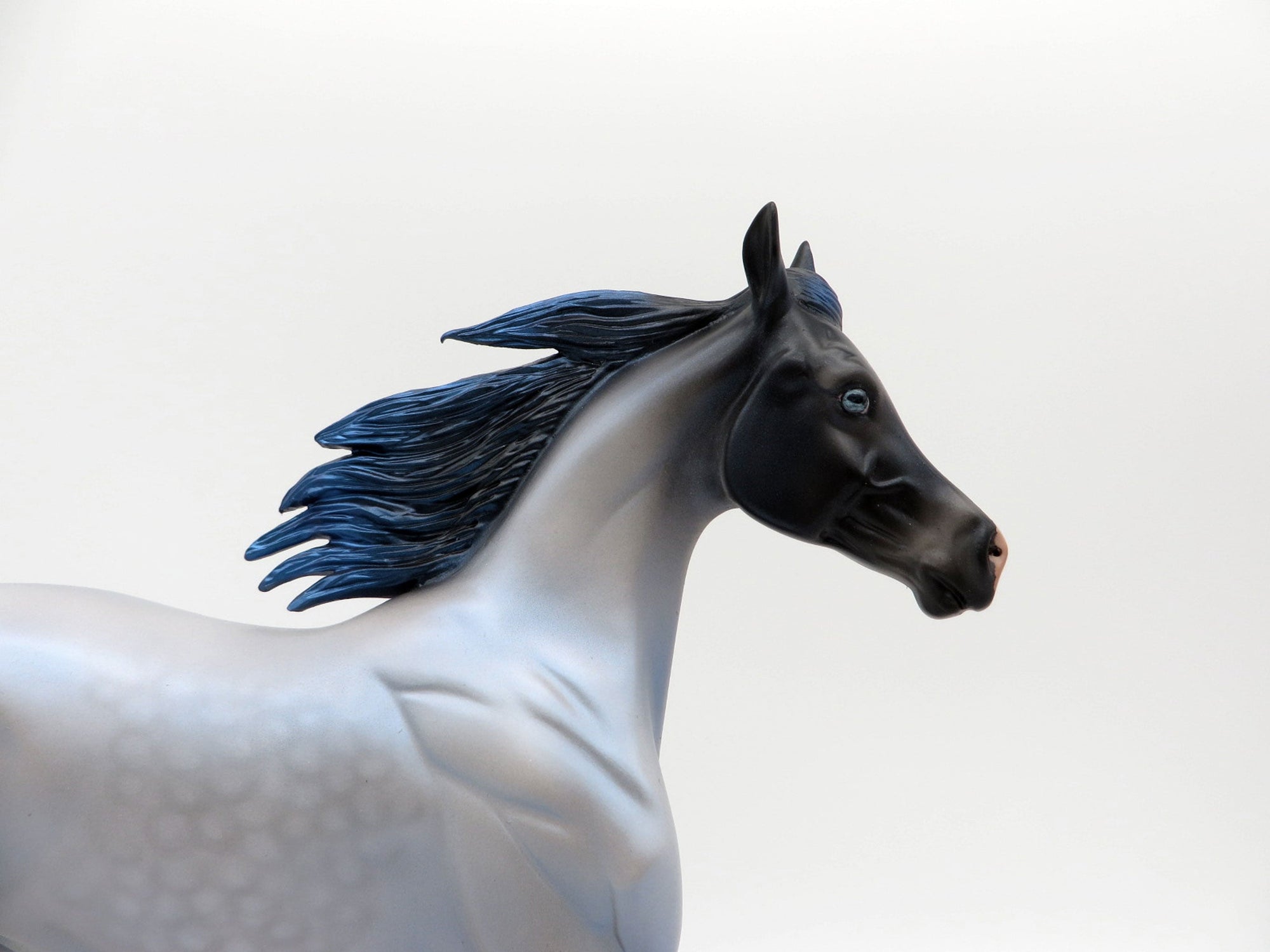 Electric Blue-OOAK Deco Yearling SHCF 2021