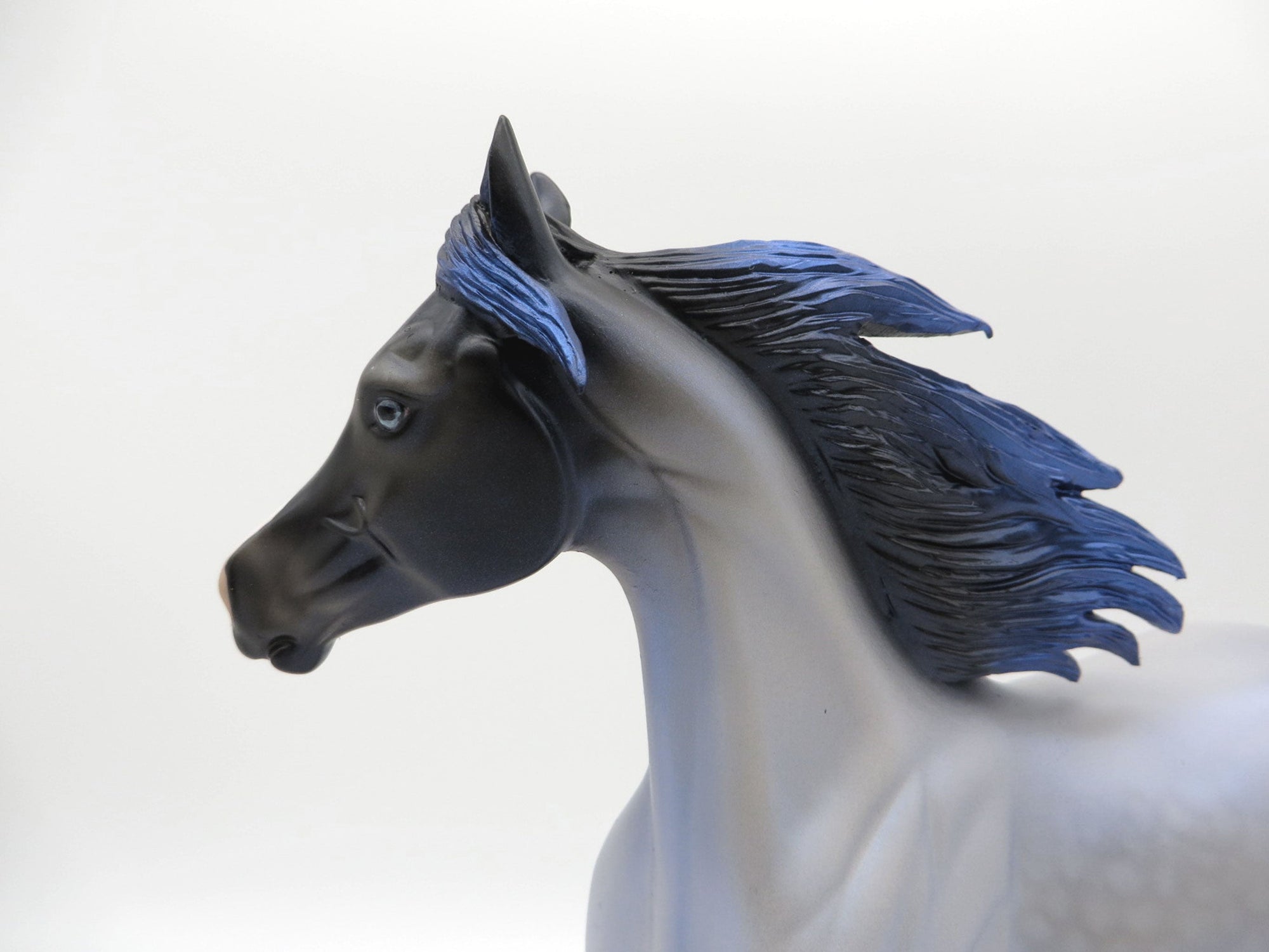 Electric Blue-OOAK Deco Yearling SHCF 2021