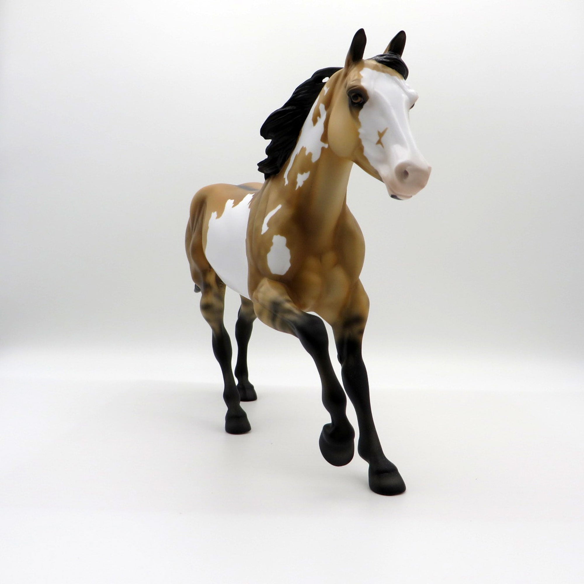 Electric Night-OOAK Buckskin Paint Foundation Quarter Horse SHCF 2021