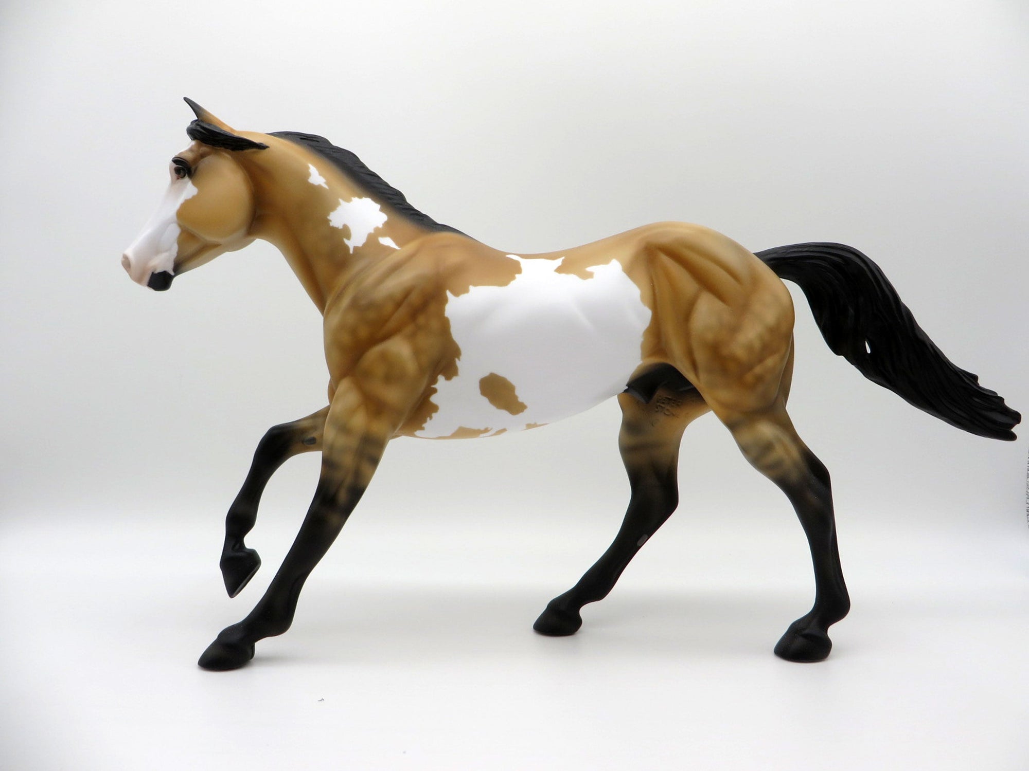 Electric Night-OOAK Buckskin Paint Foundation Quarter Horse SHCF 2021