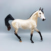 Elia OOAK Dappled Buckskin Arab Mare By Ashley Palmer Best Offers 6/12/23