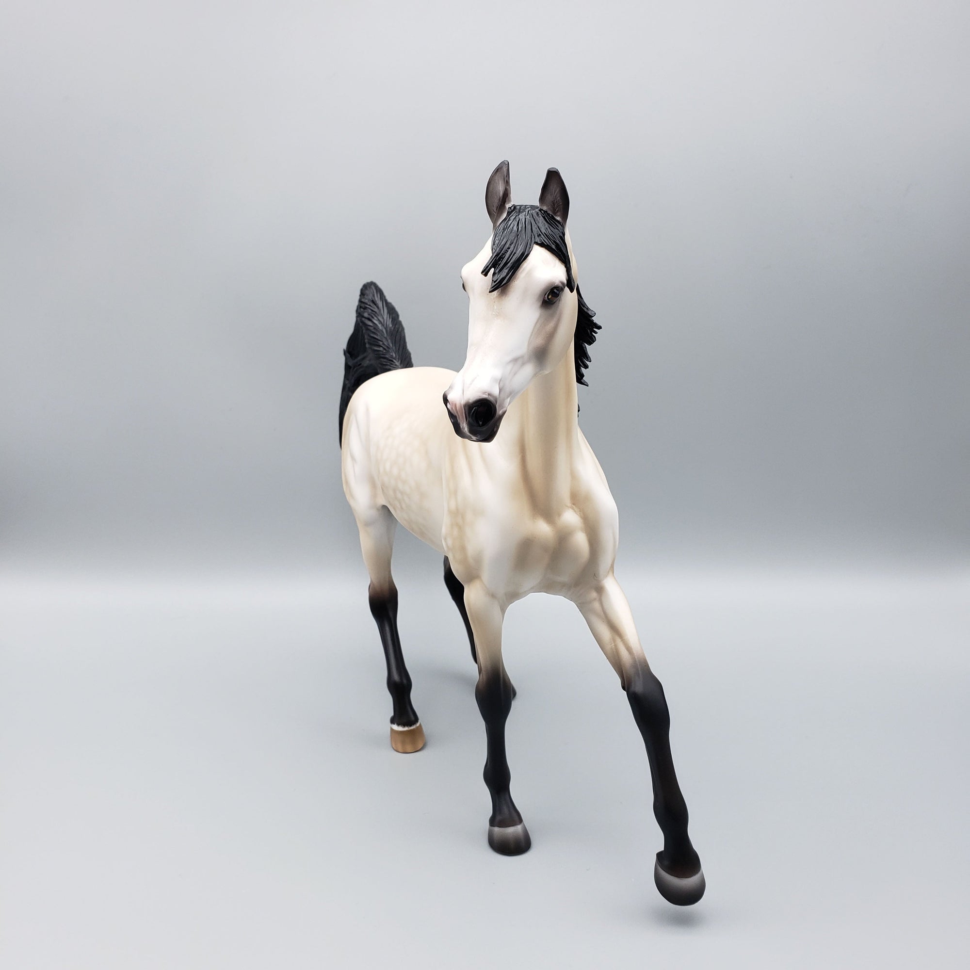 Elia OOAK Dappled Buckskin Arab Mare By Ashley Palmer Best Offers 6/12/23