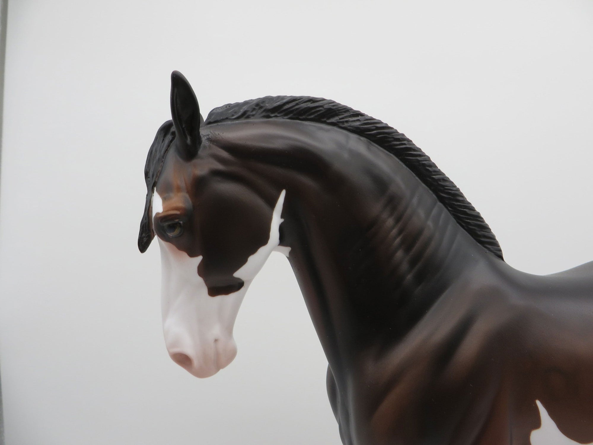 ELIO-OOAK Dapple Bay Paint Andalusian SHCF 2021