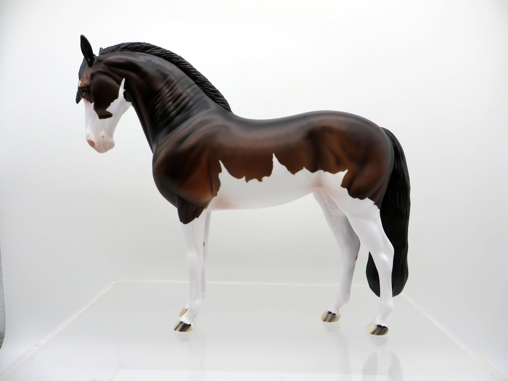 ELIO-OOAK Dapple Bay Paint Andalusian SHCF 2021