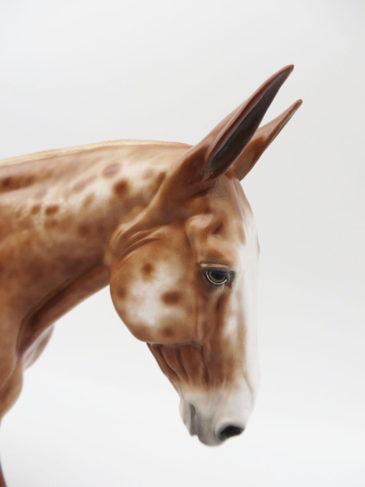 Elizabeth - OOAK - Chestnut Appaloosa Mule by Sheryl Leisure - Best Offers 12/27/22