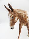 Elizabeth - OOAK - Chestnut Appaloosa Mule by Sheryl Leisure - Best Offers 12/27/22