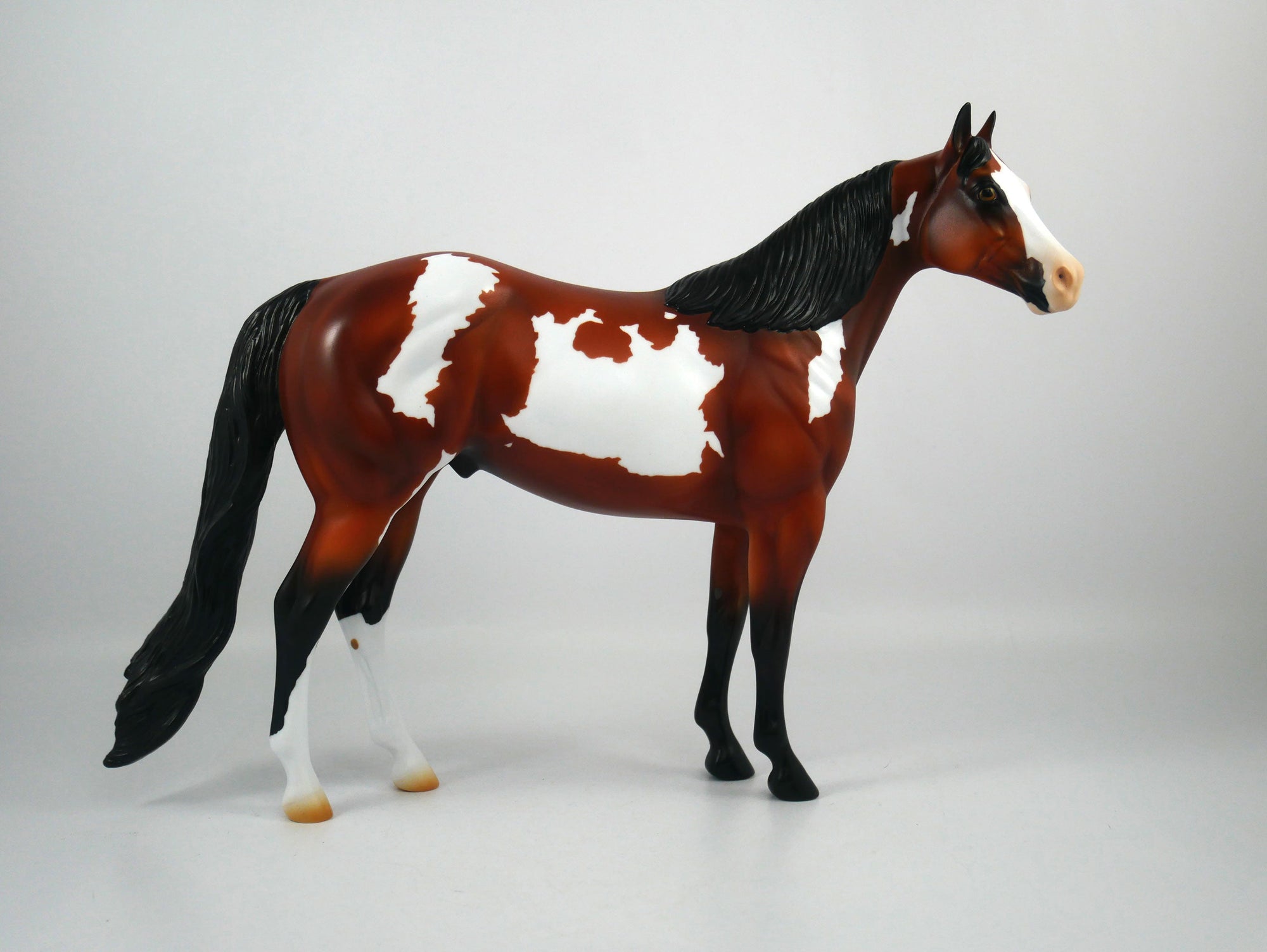 New Beginnings-OOAK Bay Paint ISH Painted by Ellen Robbins 12/30/20