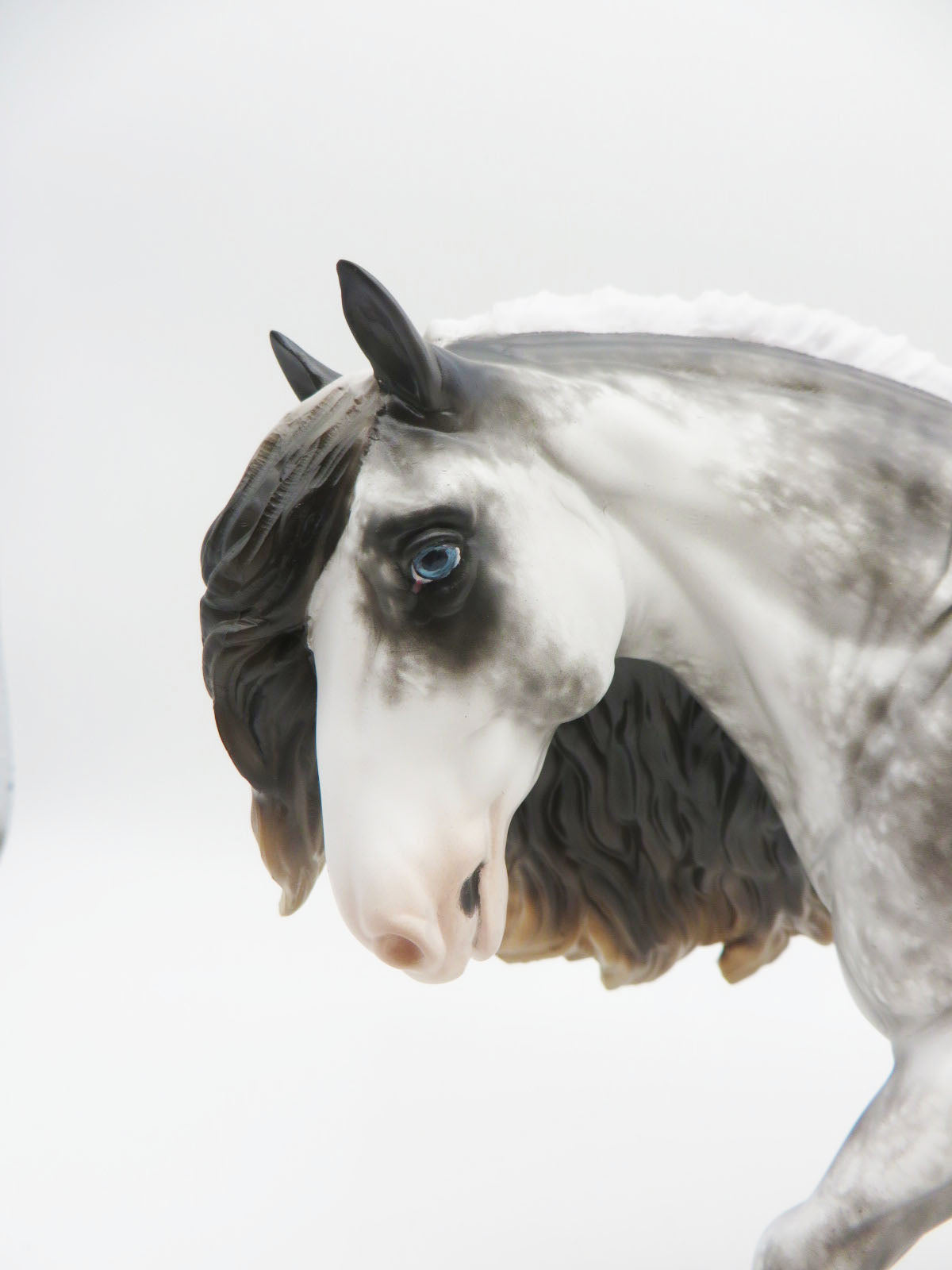 Elwood-OOAK Irish Cob Sabino by Sheryl Leisure 9/26/22