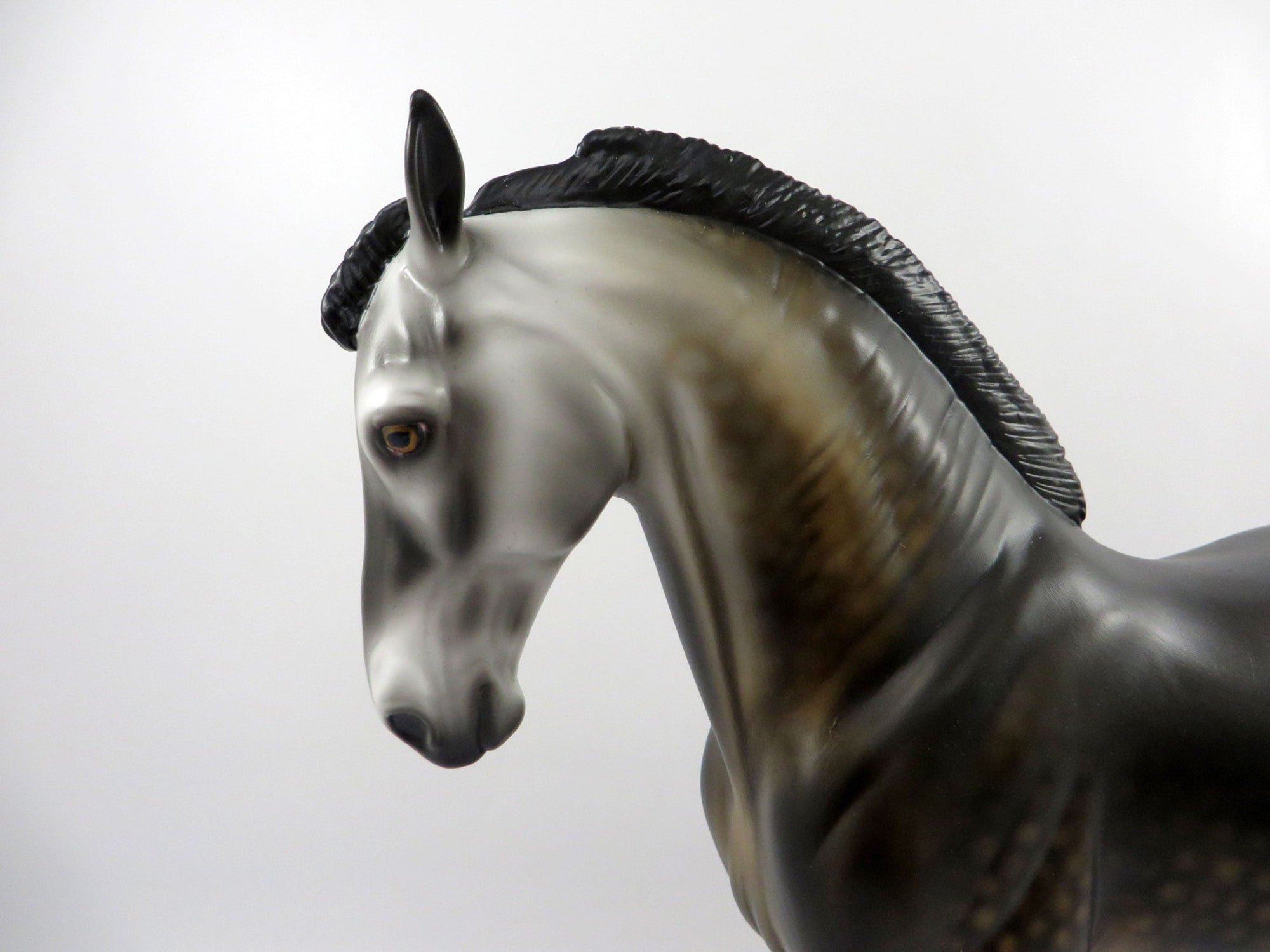 Embark-OOAK Dapple Bay Andalusian Painted By Audrey Dixon 3/12/21